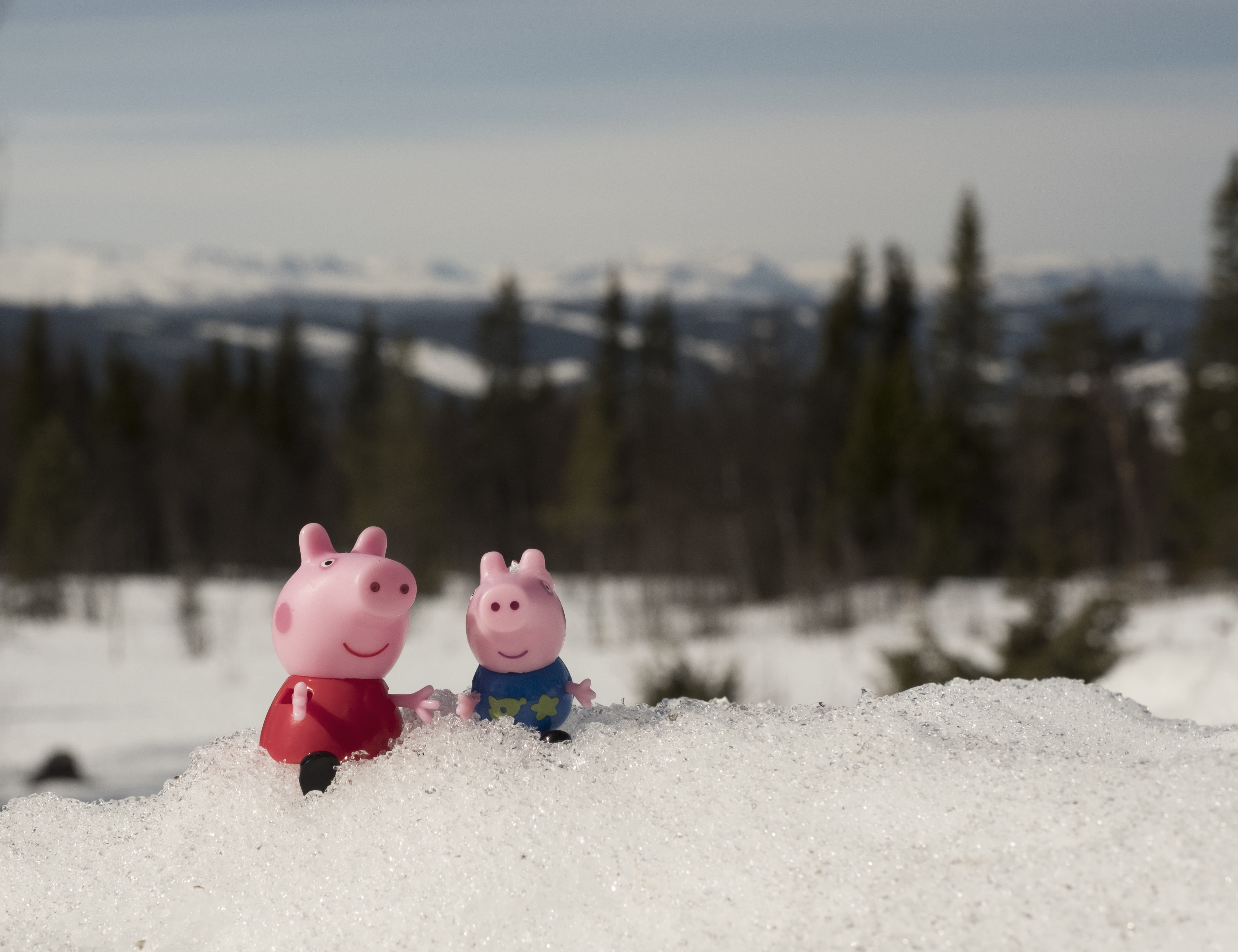 peppa pig, toy, figure, cute, nature, view, snow, winter, small