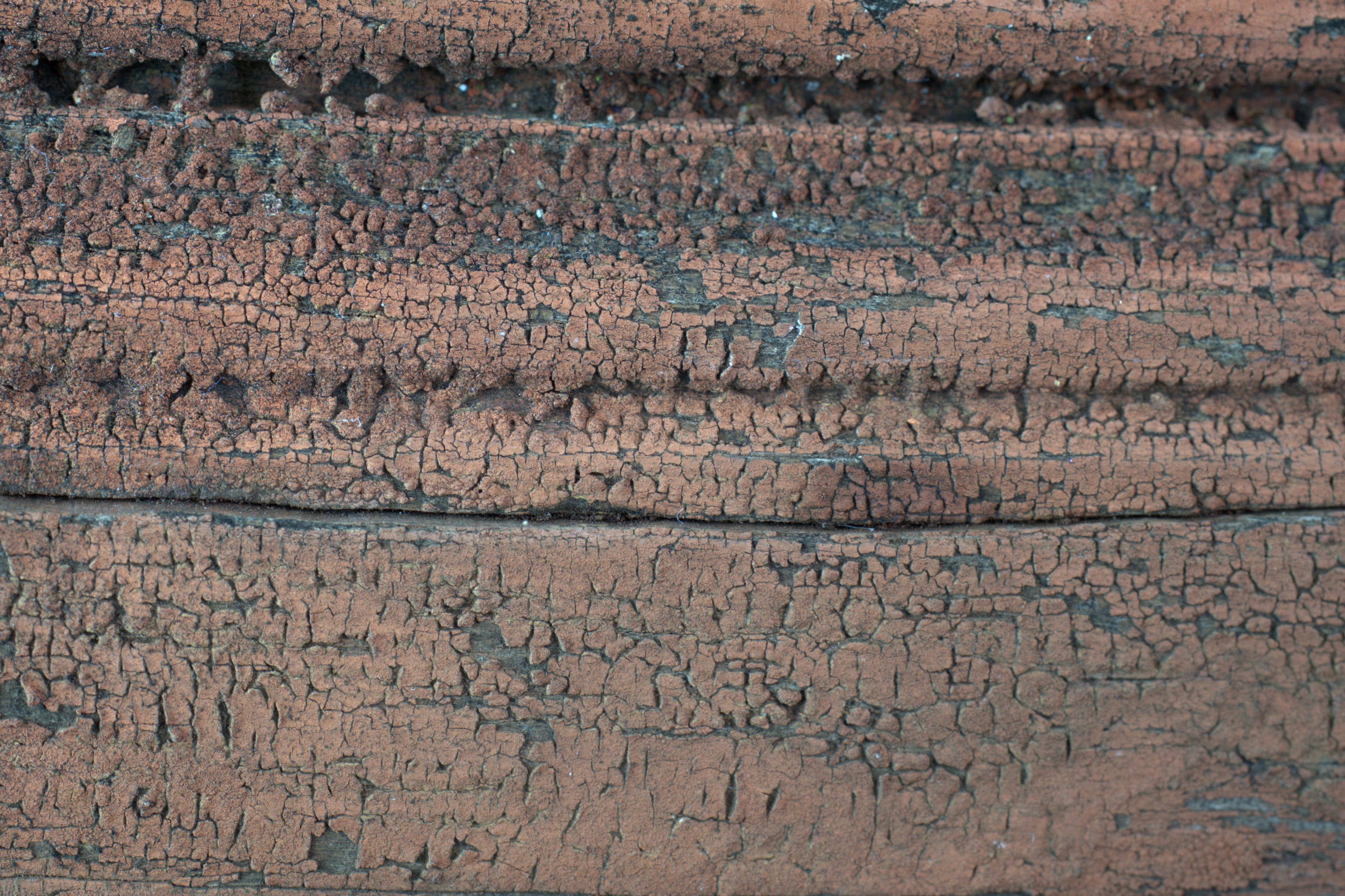 vintage, wood, structure, texture, background, pattern, wooden wall