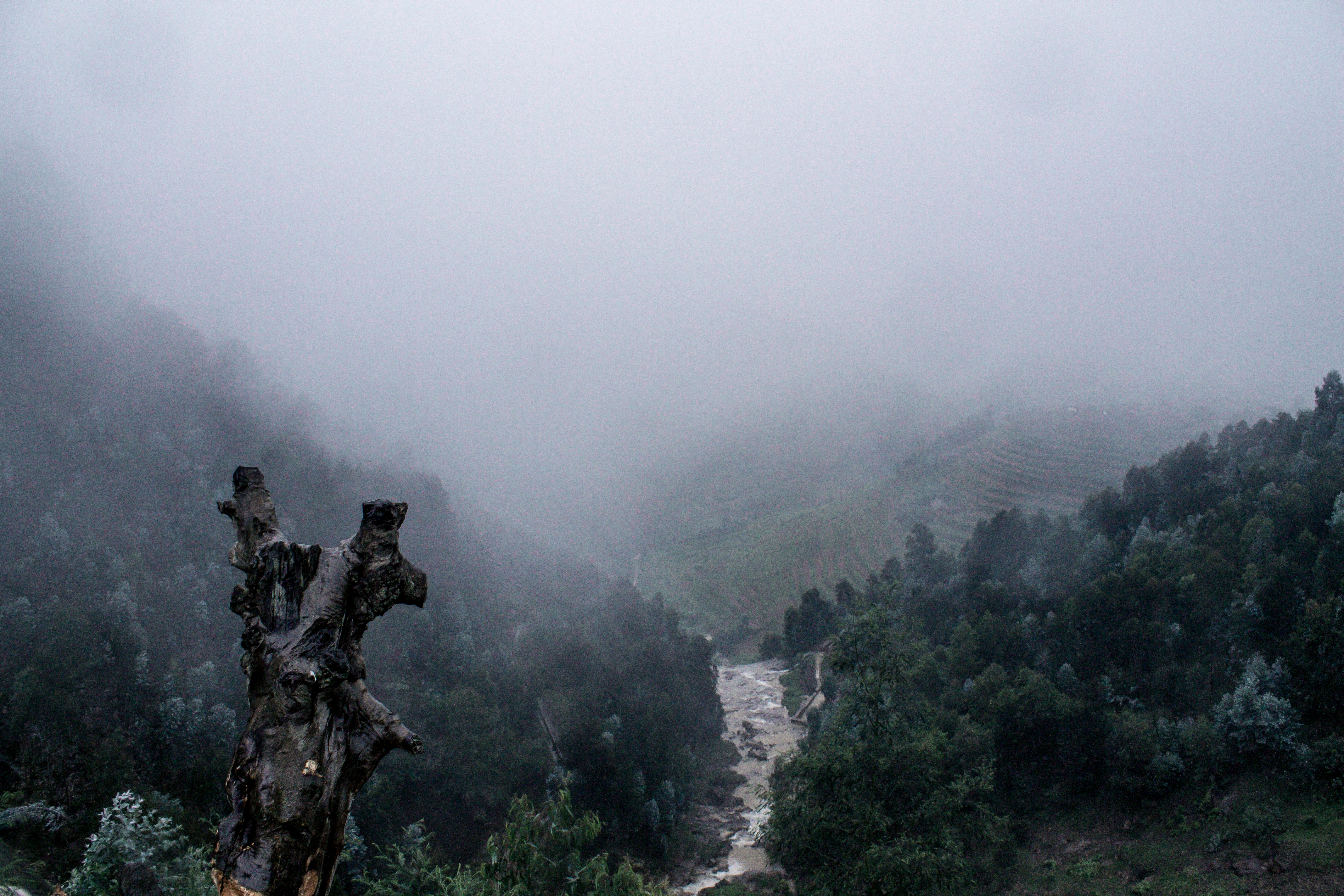 rwanda, kigali, landscape, photography, fog, tree, mountain