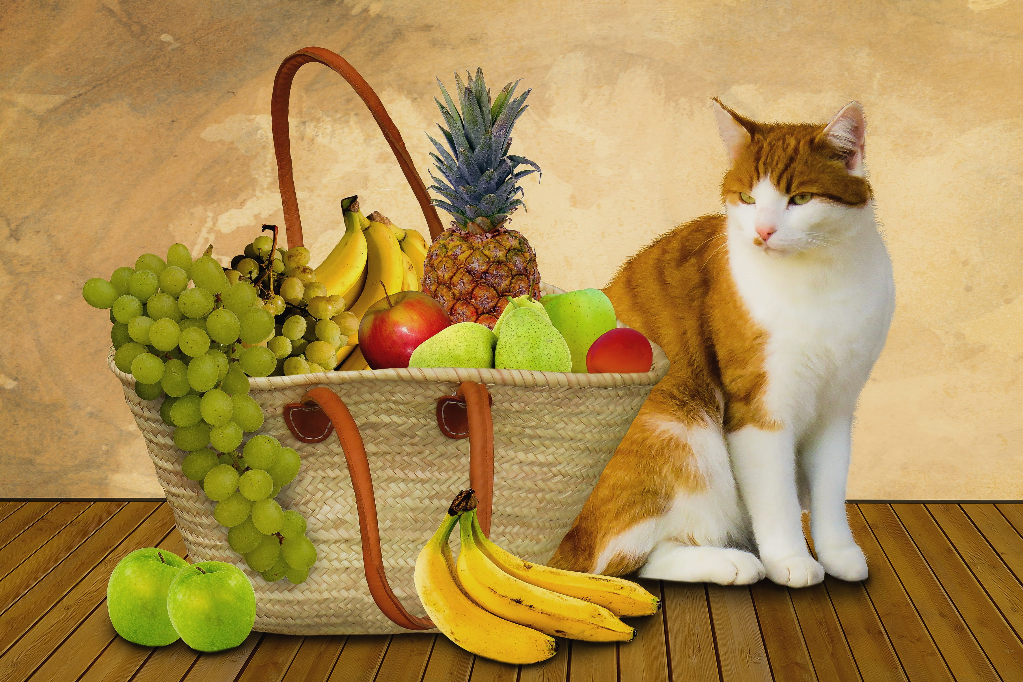 eat, food, fruit, fruit basket, purchasing, healthy, animal