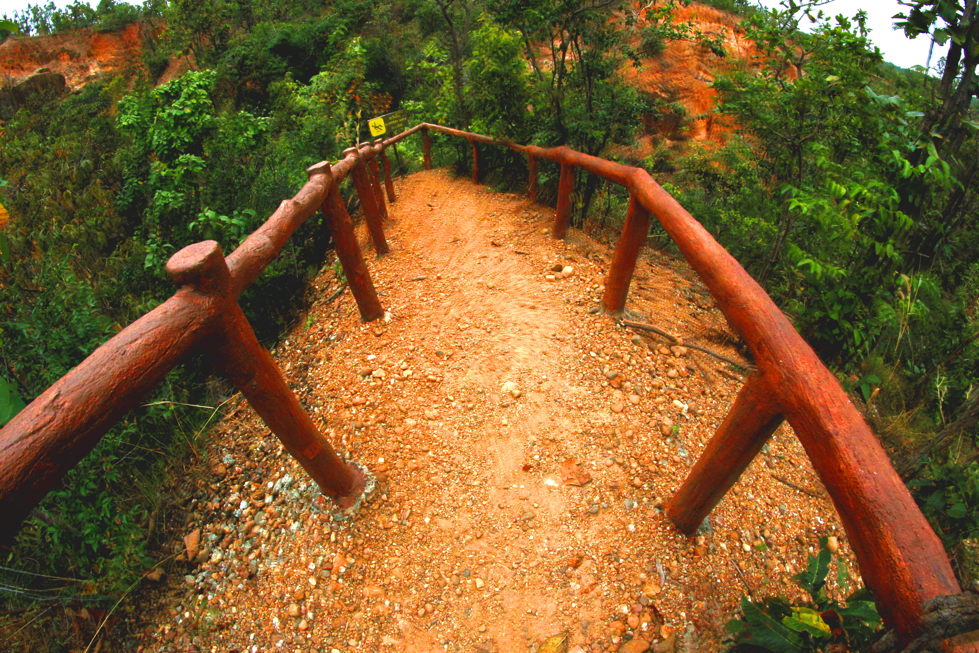 Pathway, daylight, forest, mountain, outdoors, plants, railing