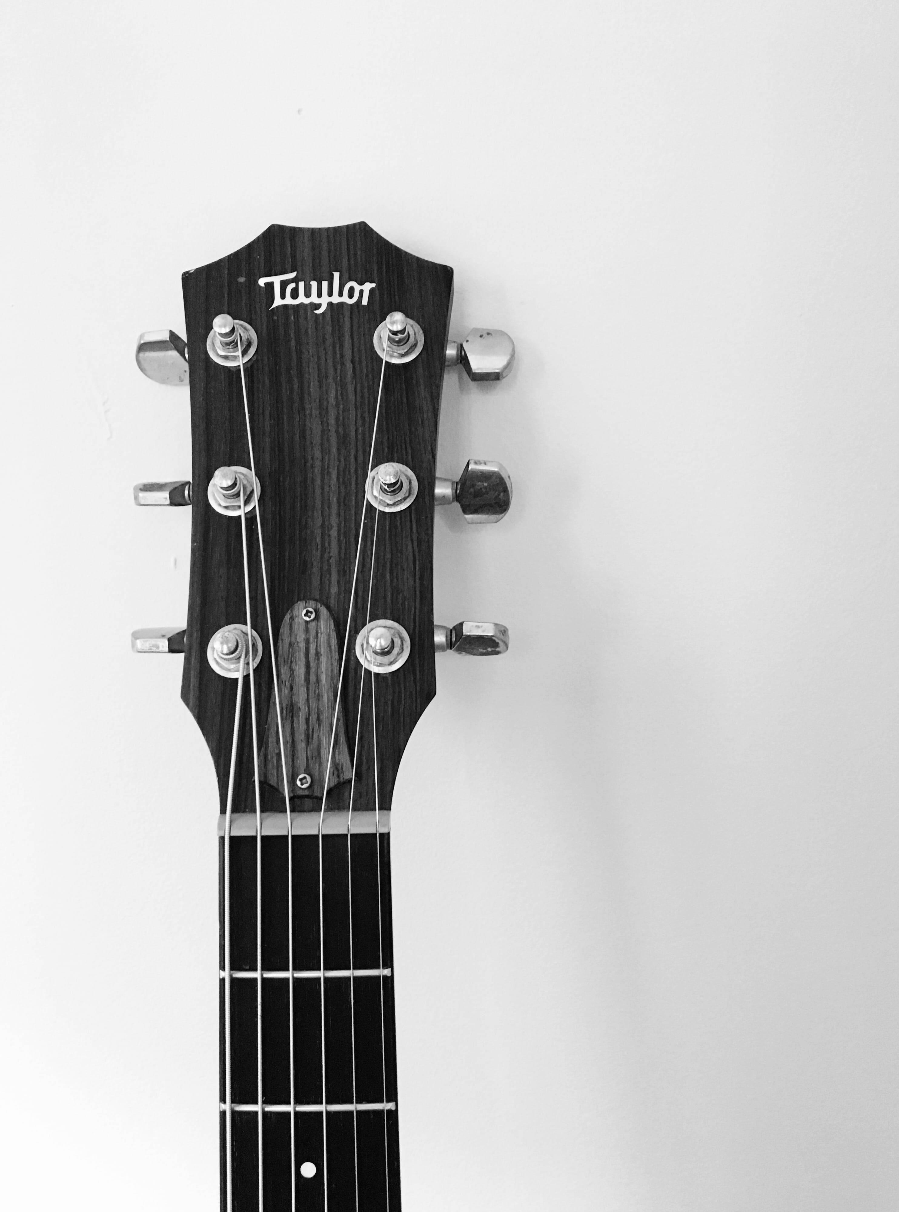 taylor guitar, macro, black and white, musical instruments