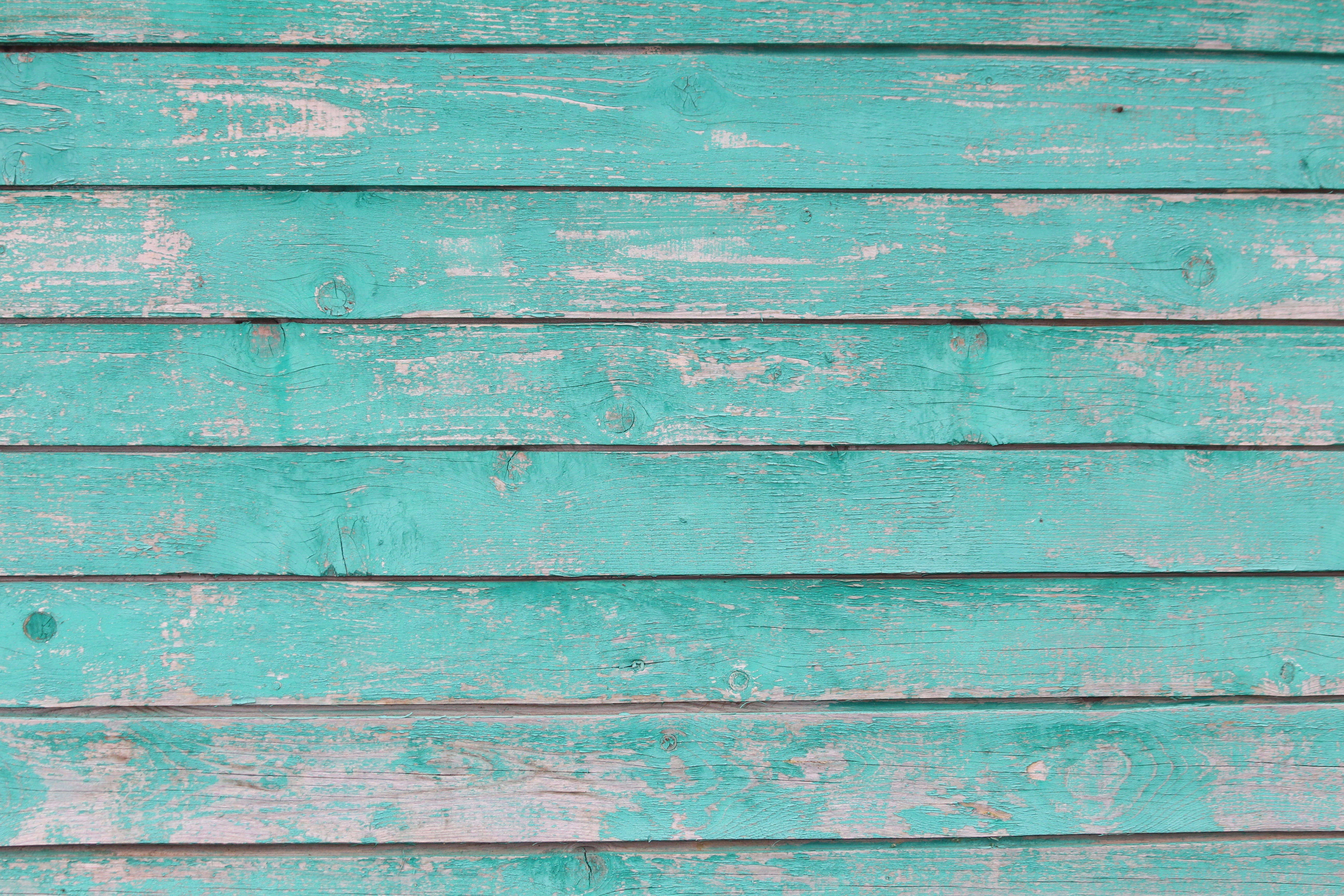tree, green, wall, background, texture, house, old tree, paint