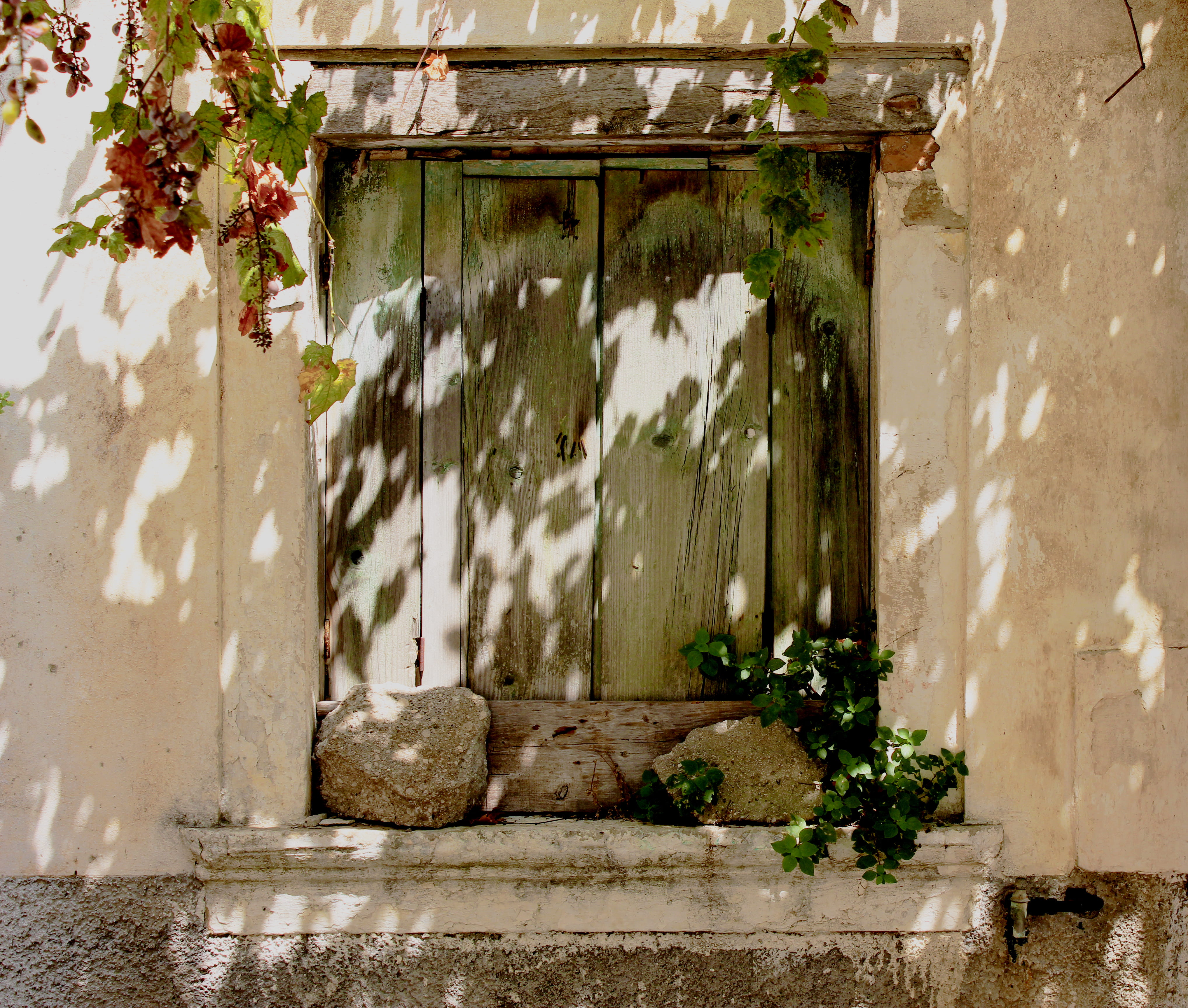 closed window, architecture, built structure, building exterior