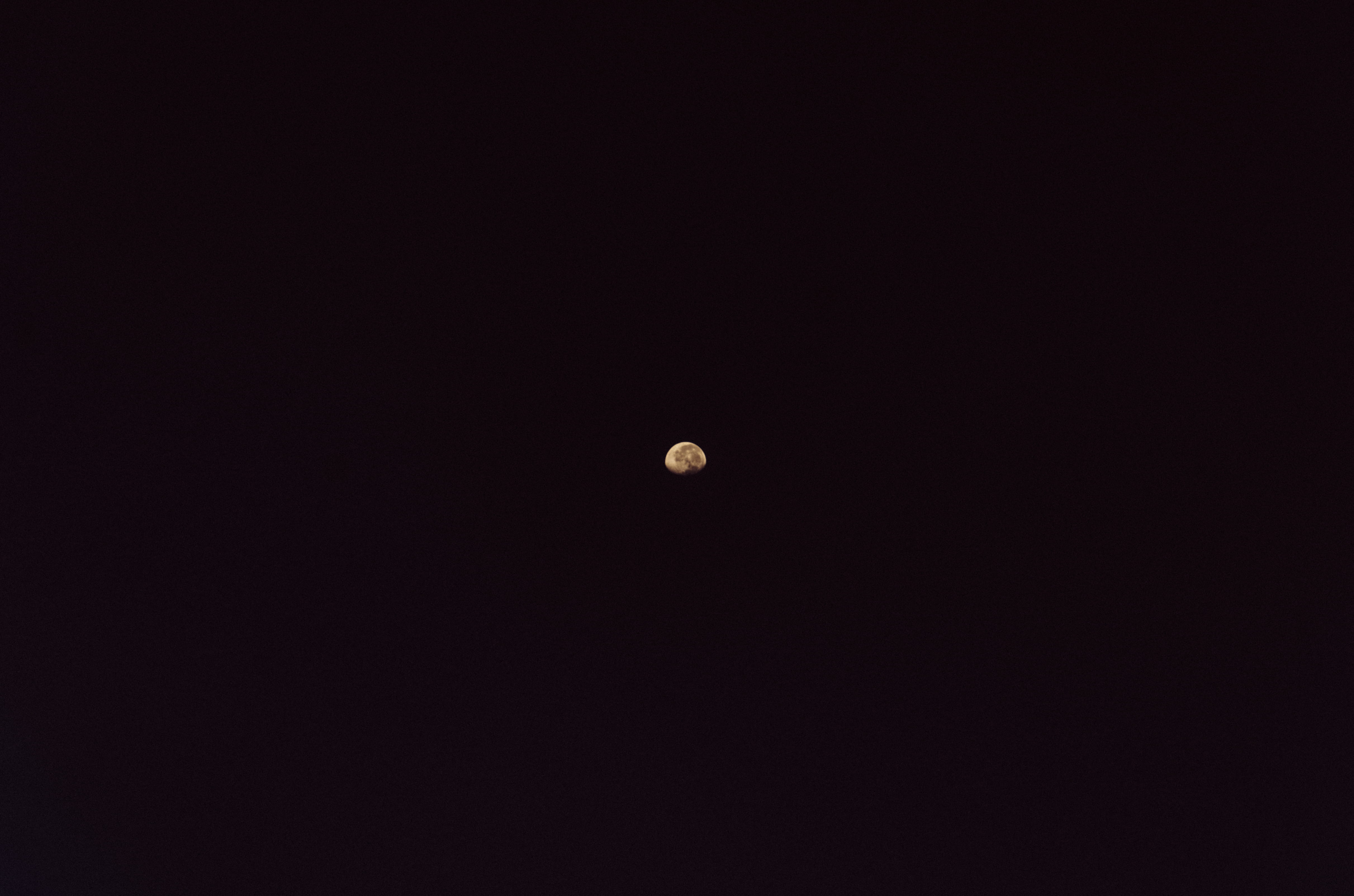moon, sky, night, copy space, no people, tranquil scene, tranquility
