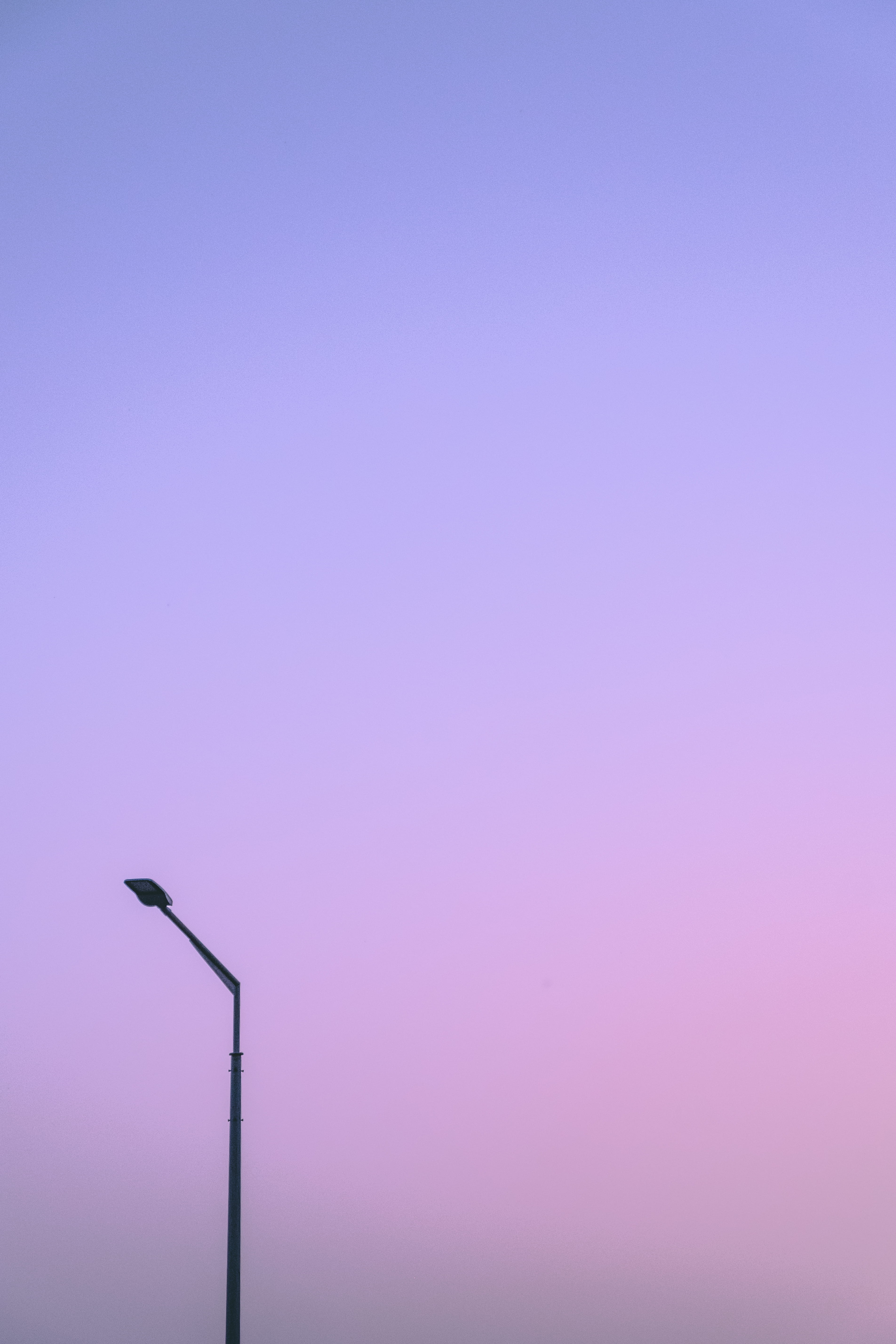 lamp post, nature, outdoors, building, architecture, blossom