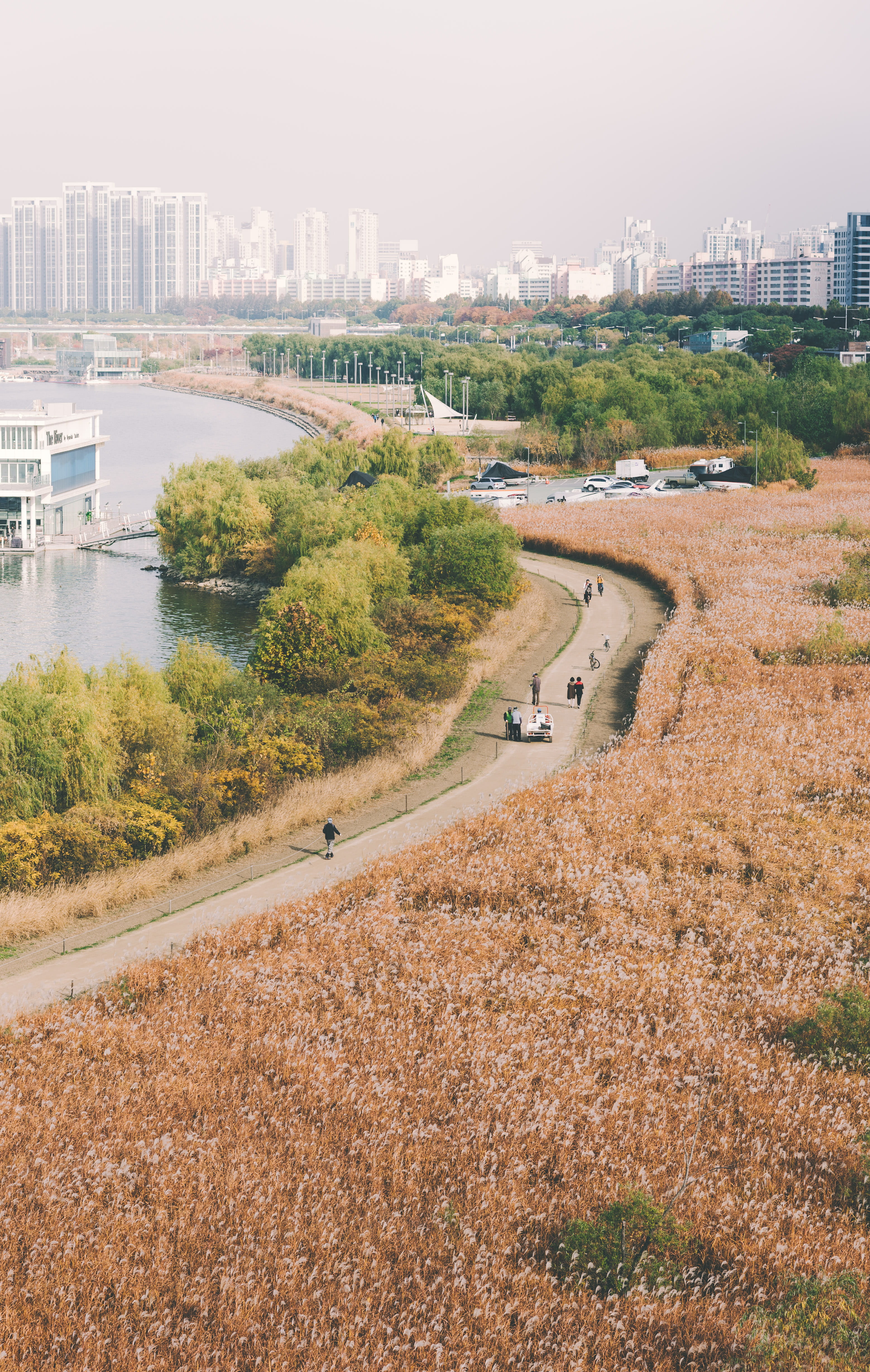 bird's eye view of river and road, landscape, outdoors, nature