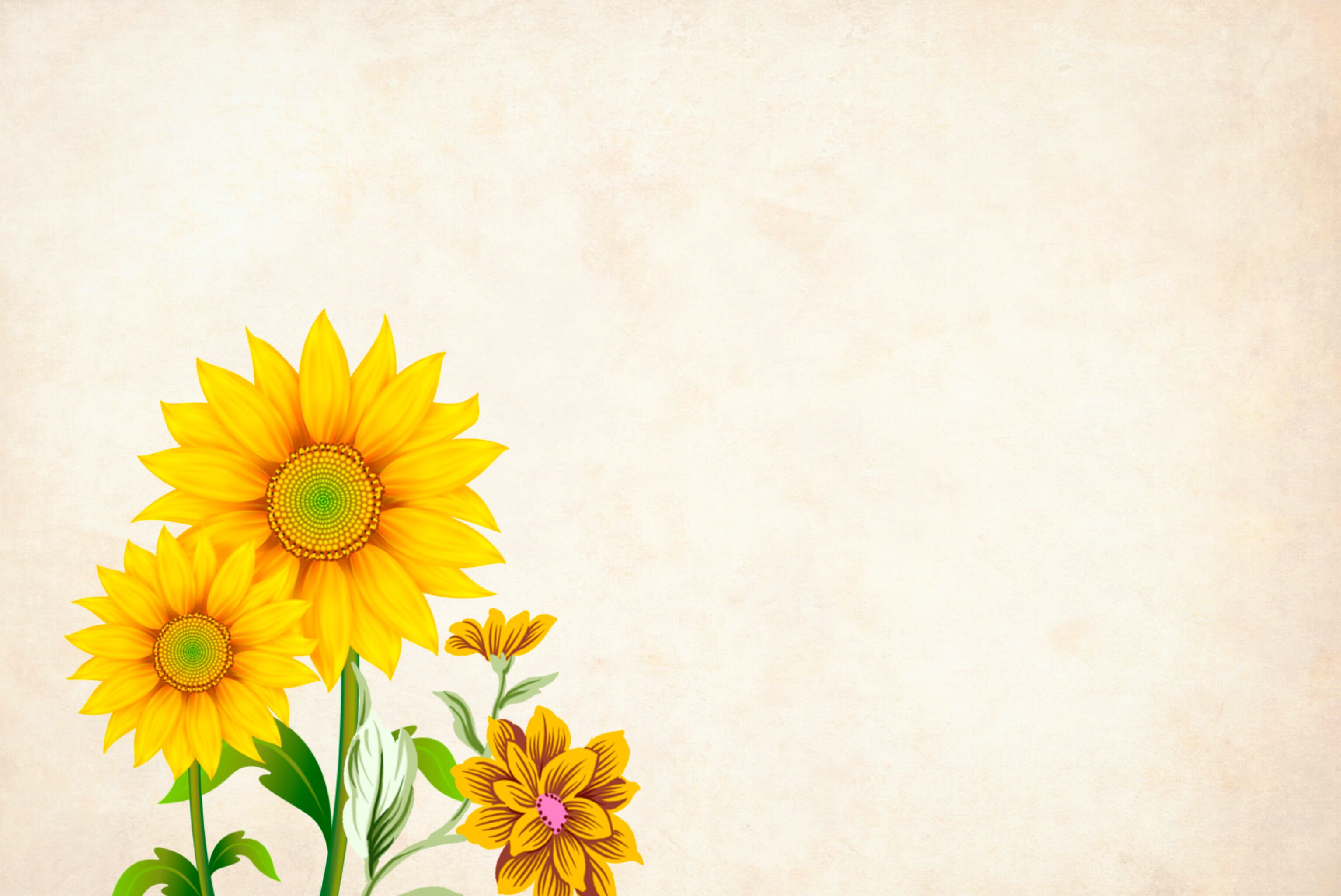 yellow flower background with copyspace, floral, border, garden frame