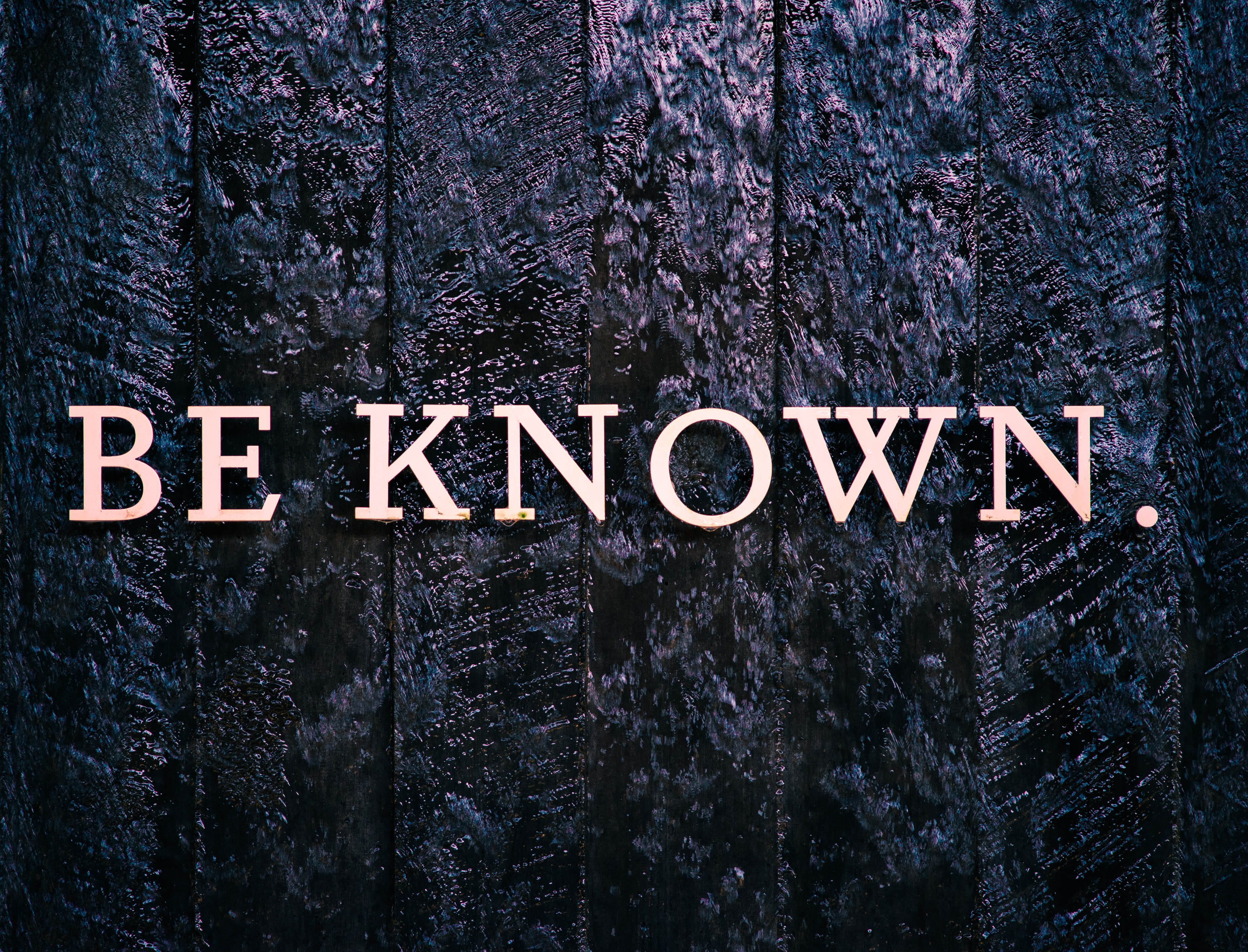 trees with be known text overlay, communication, western script