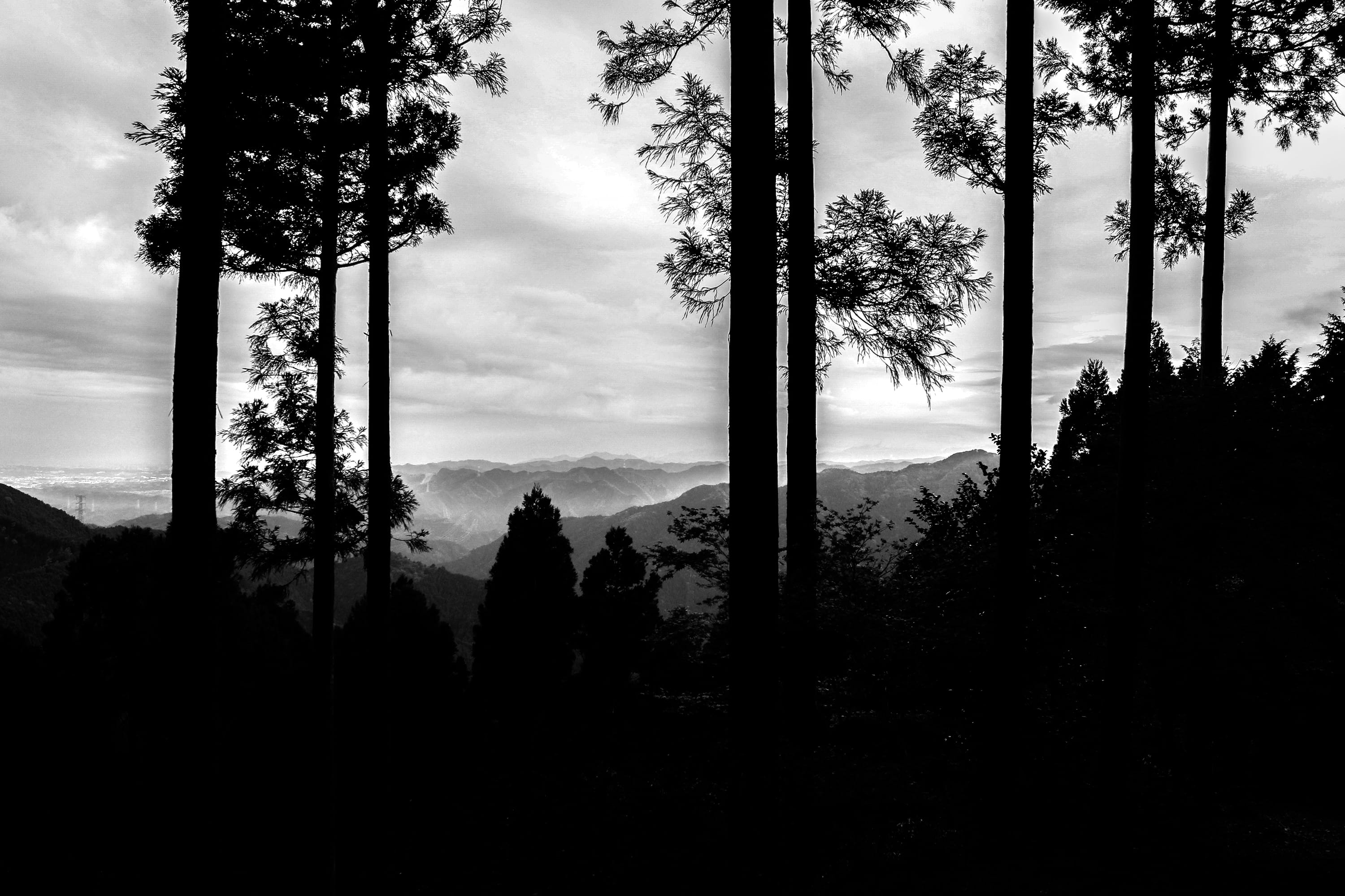 japan, hinode, mountain range, cloud, cloudscape, forest, jerome