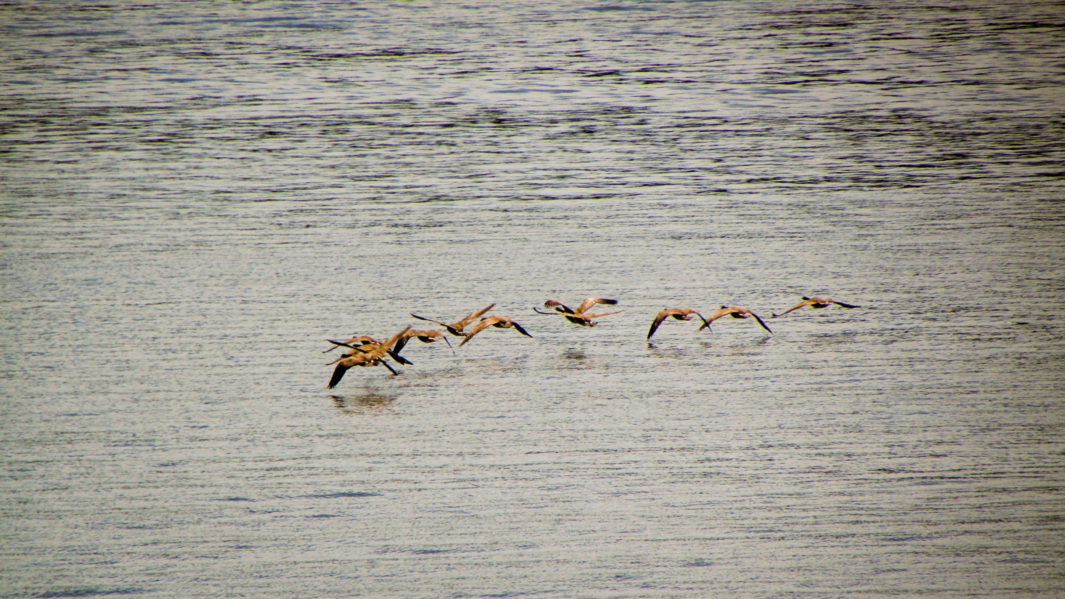 united states, rockville, raccoon lake state recreation area