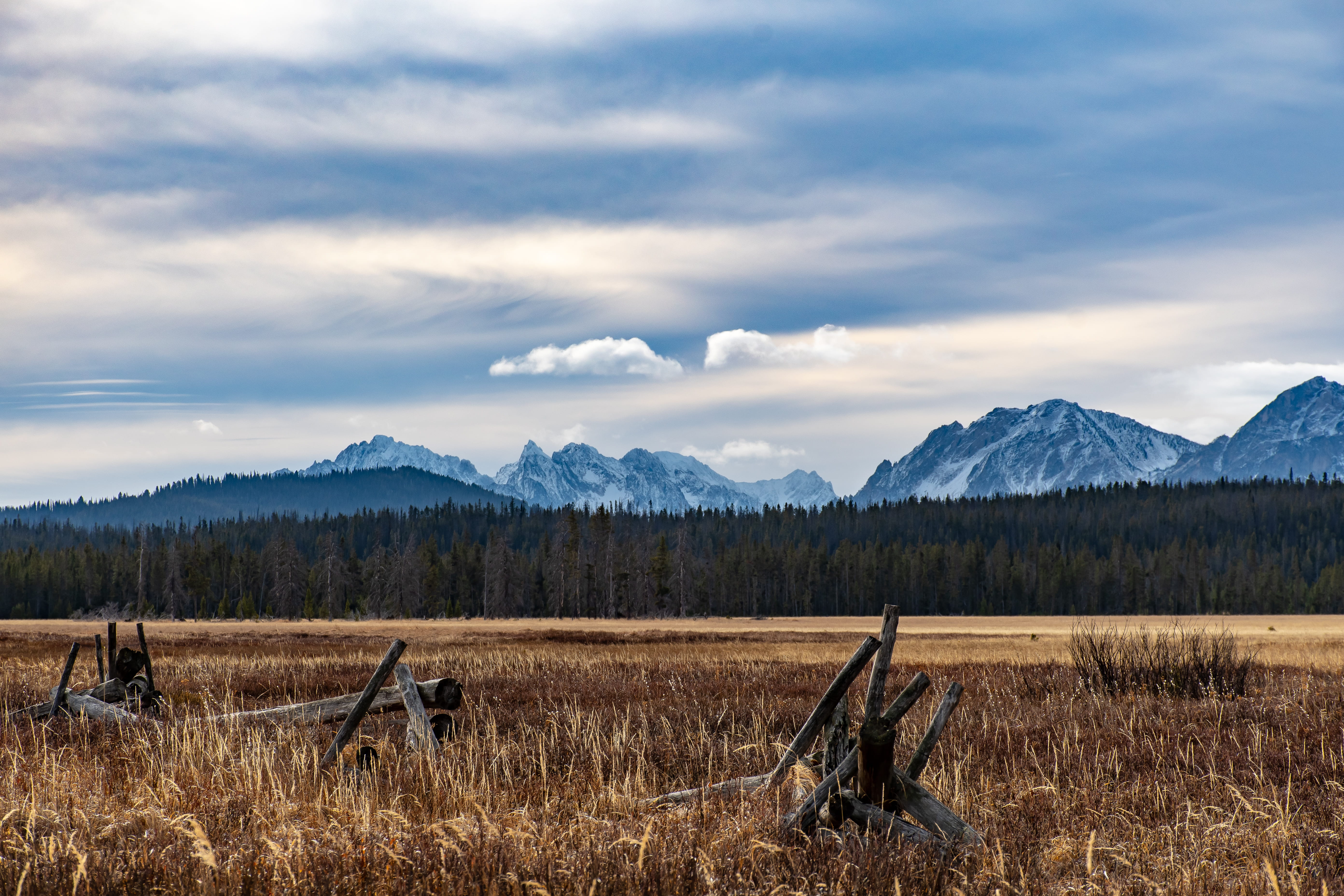Dried Fields, clouds, daylight, environment, forest, grass, landscape