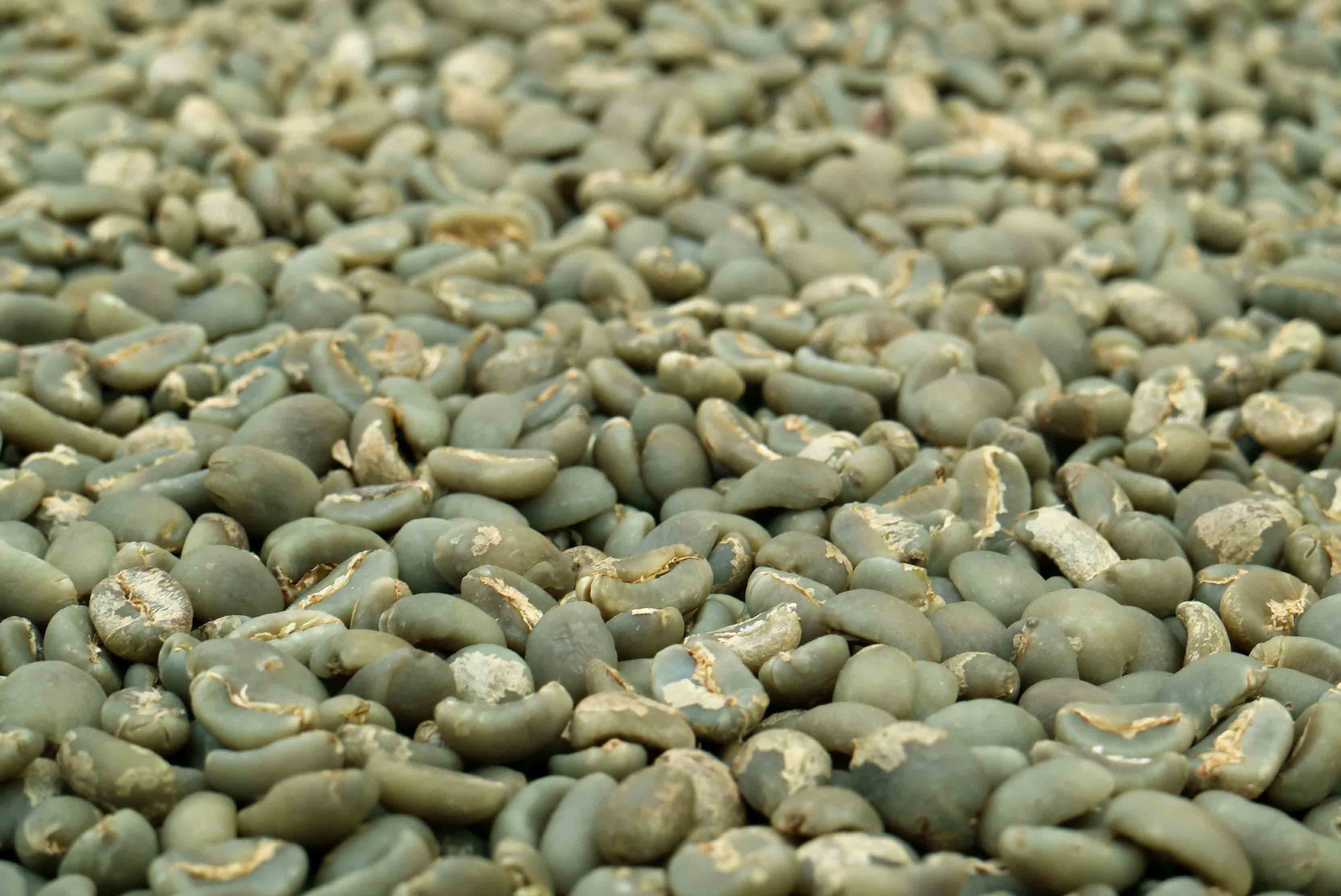spain, full frame, abundance, backgrounds, large group of objects