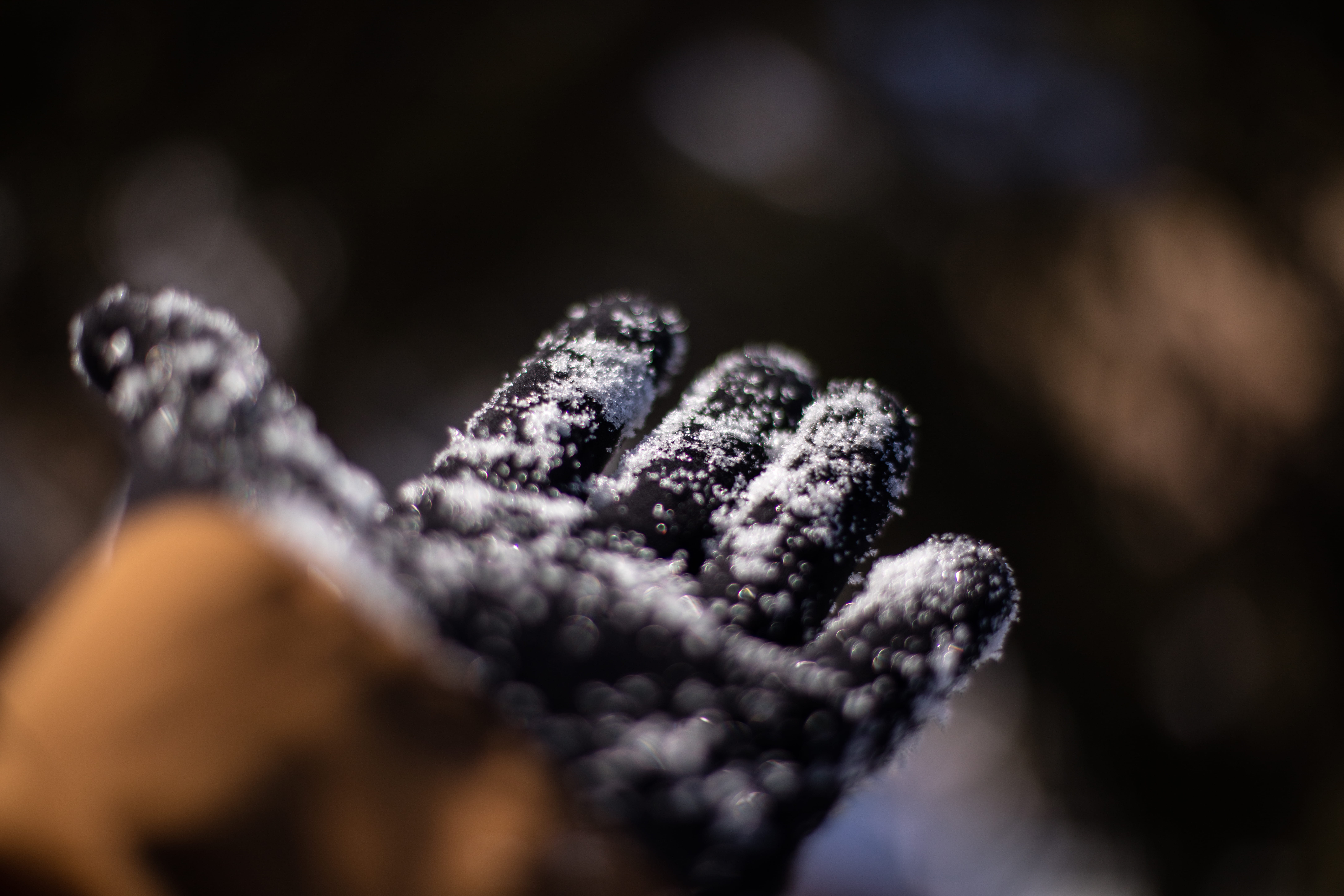 patrick hendry, selective focus, close-up, cold temperature