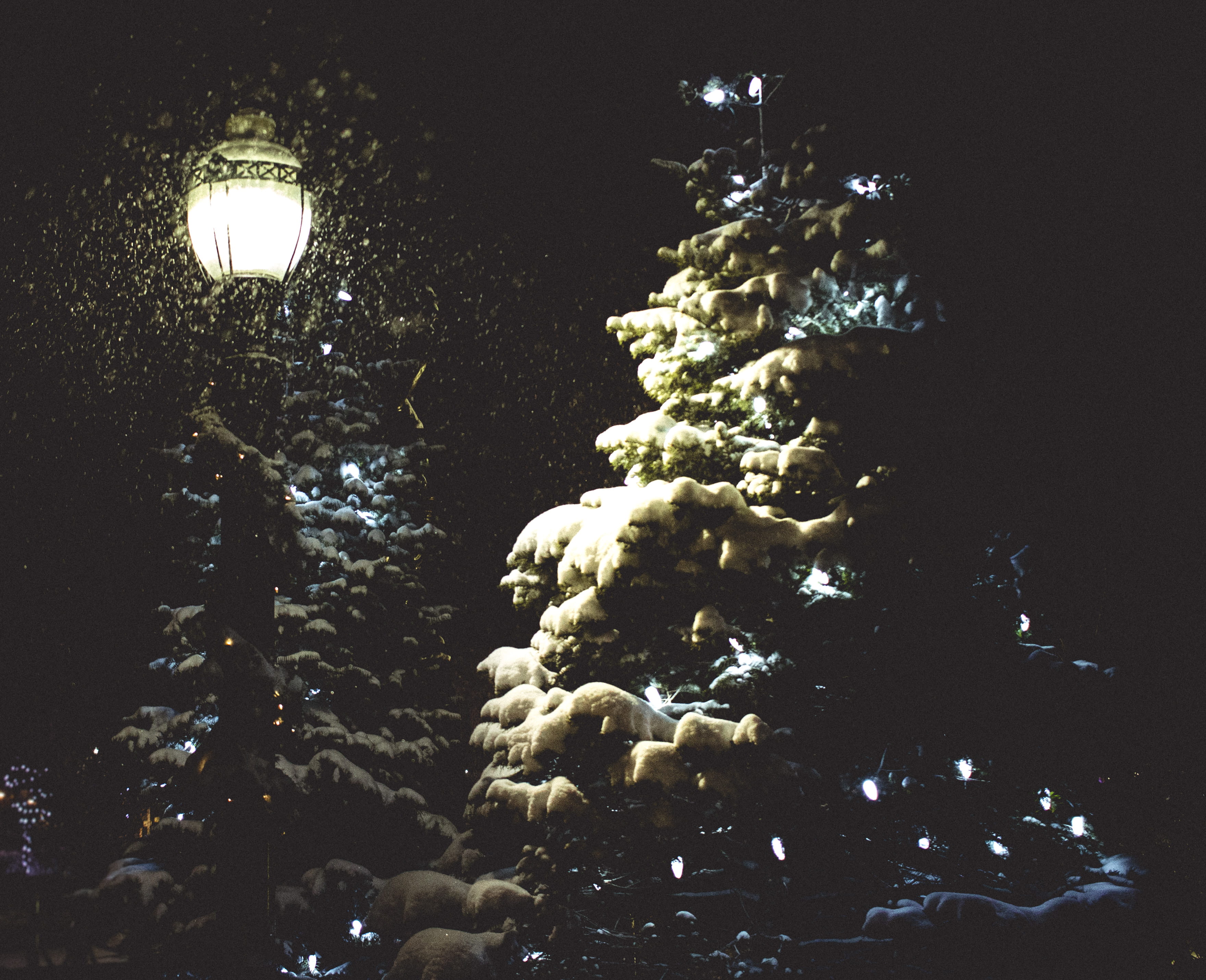 canada, goderich, night, snow, lamp, trees, illuminated, lighting equipment