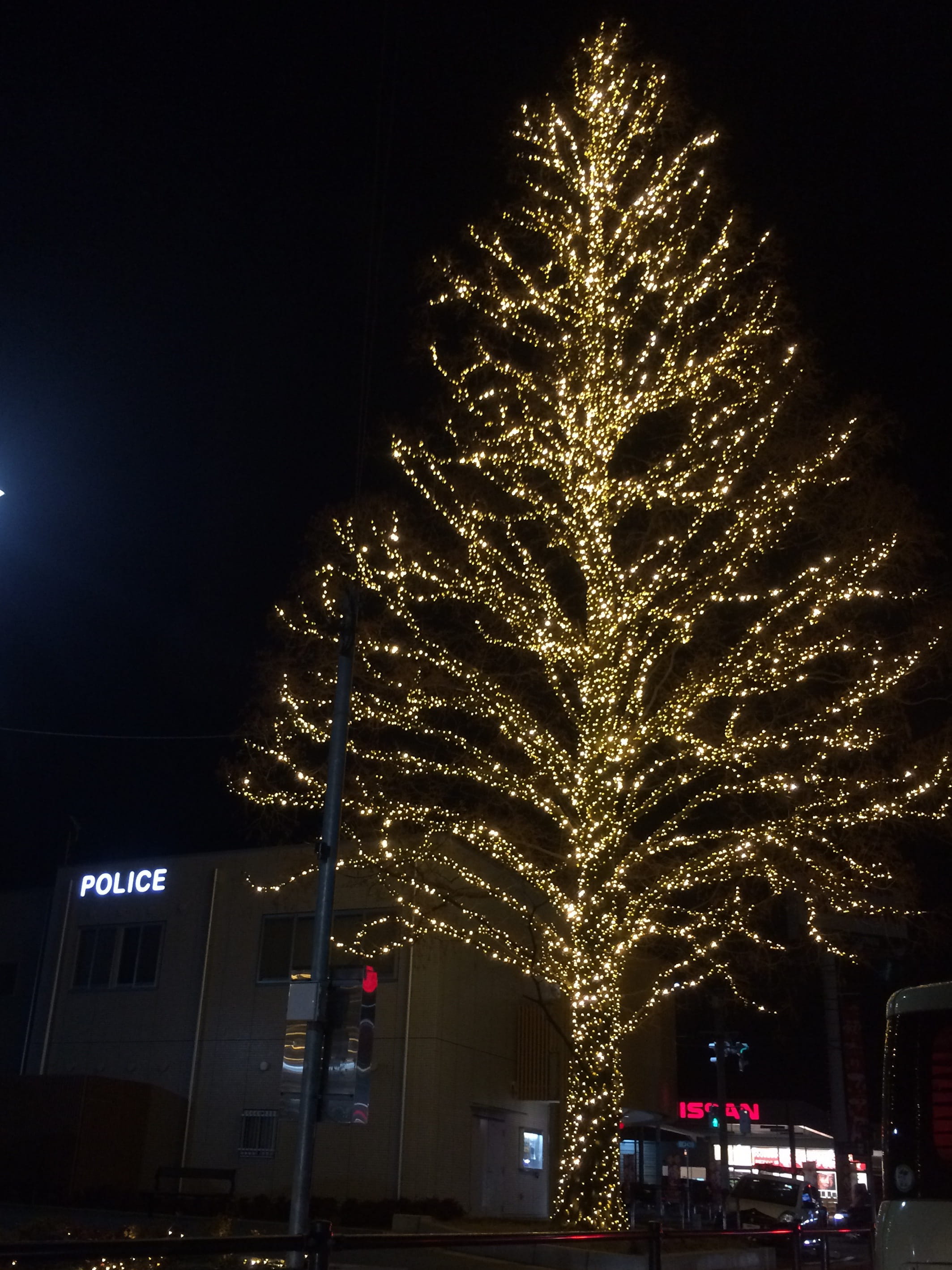 objects, christmas, illumination, tree, illuminated, night