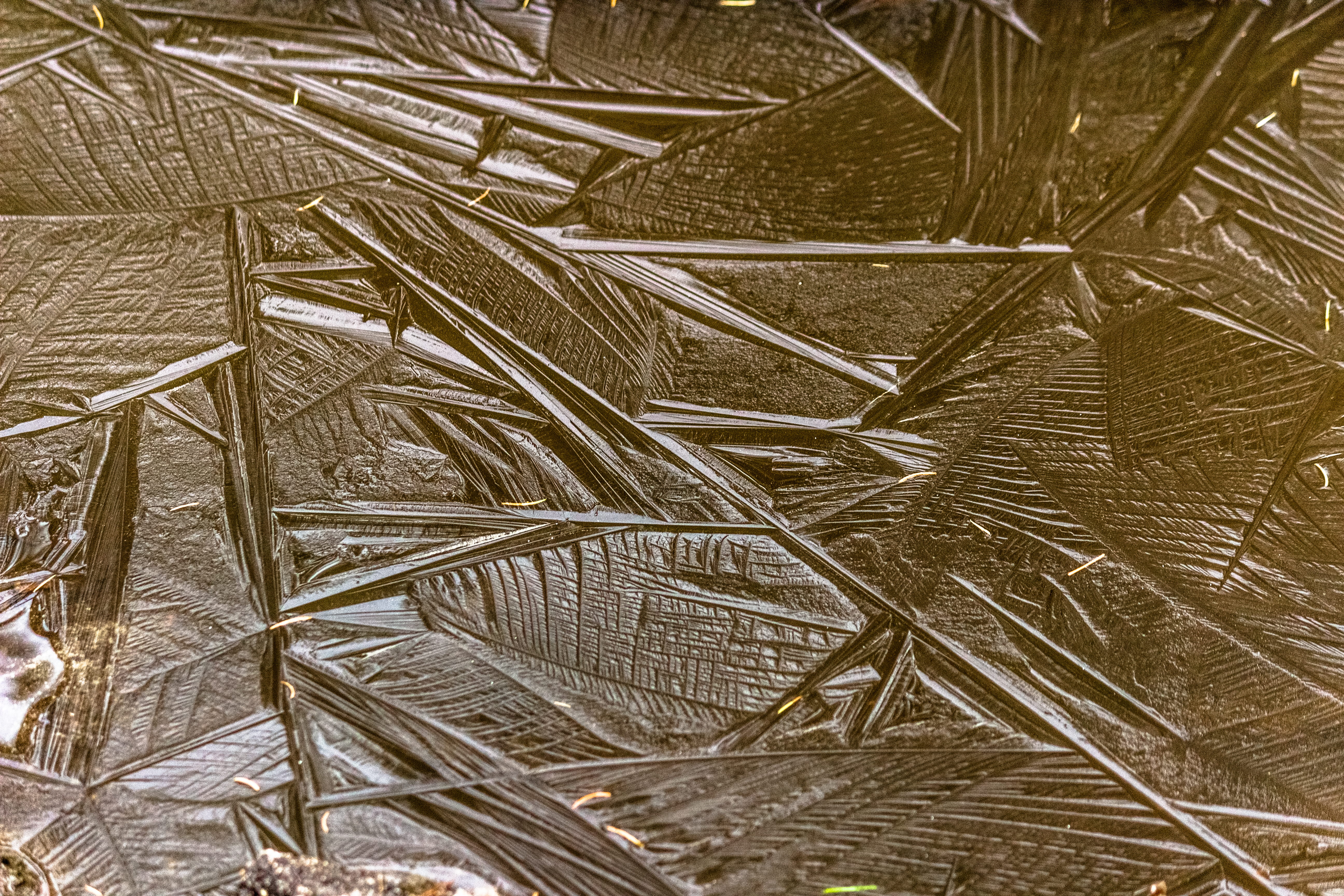 puddle, ice, winter, pattern, water, cold, texture, backgrounds