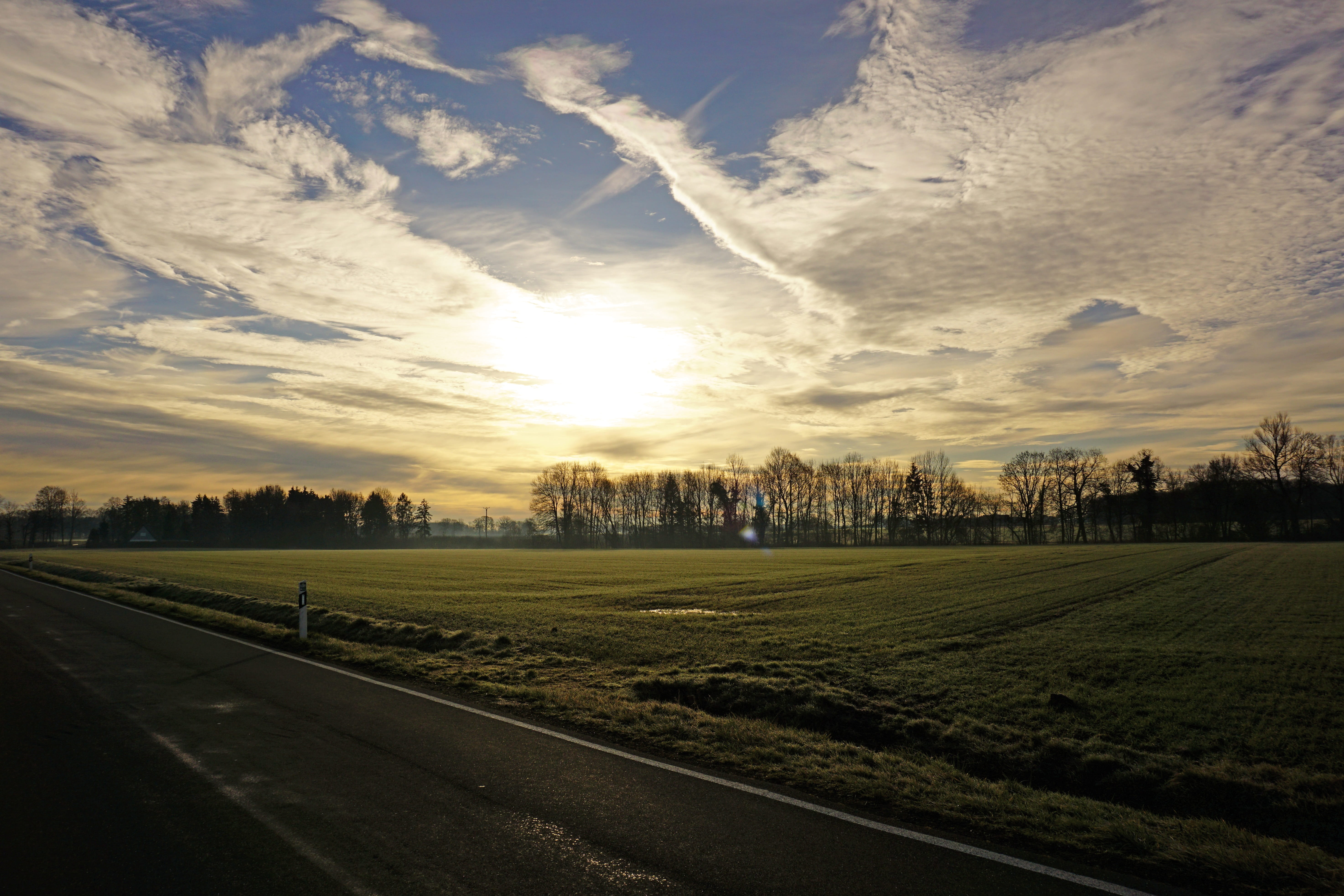 sunset, sky, clouds, nature, trees, landscape, cloud - sky