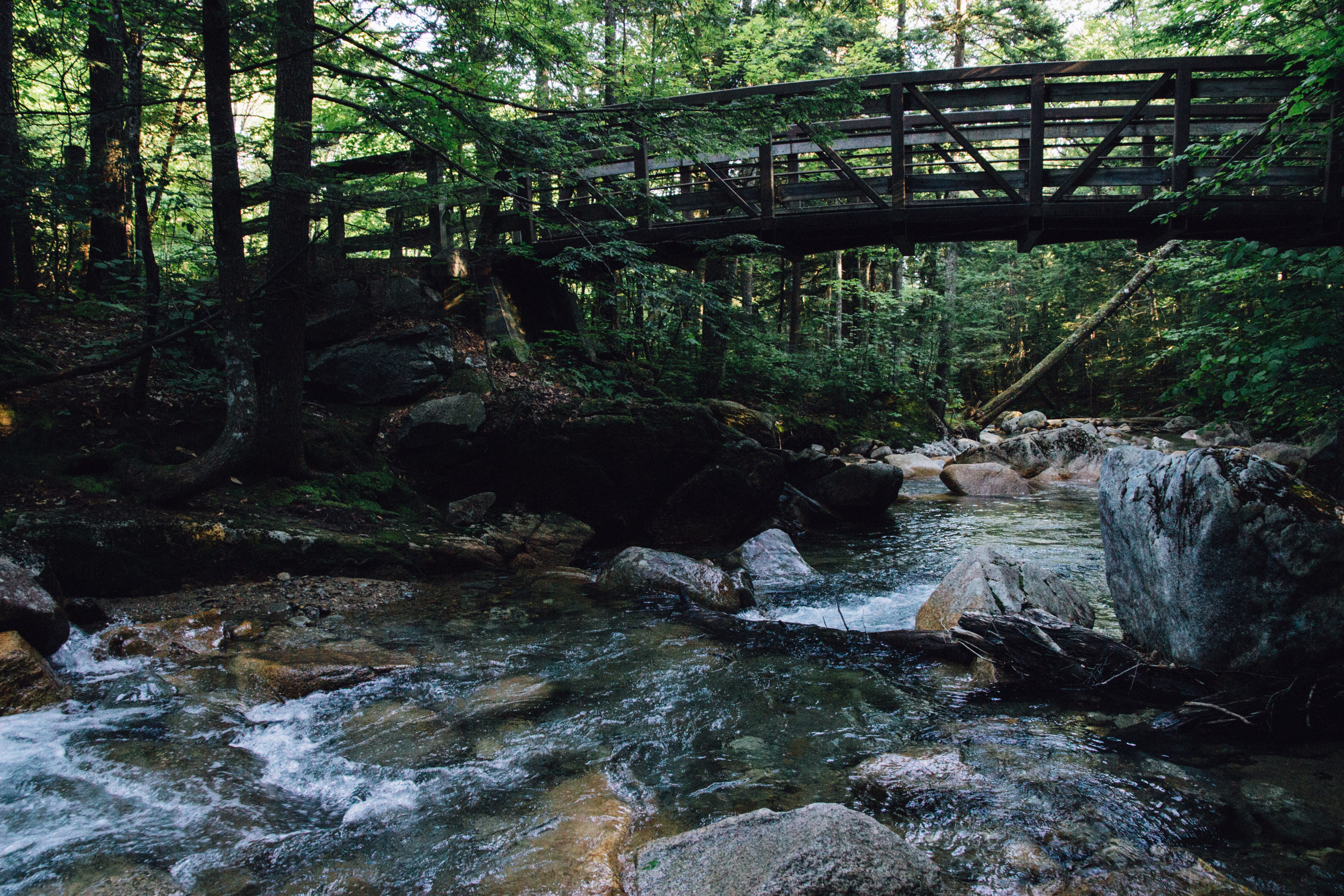 bridge, stream, forest, woods, path, water, tree, flowing water