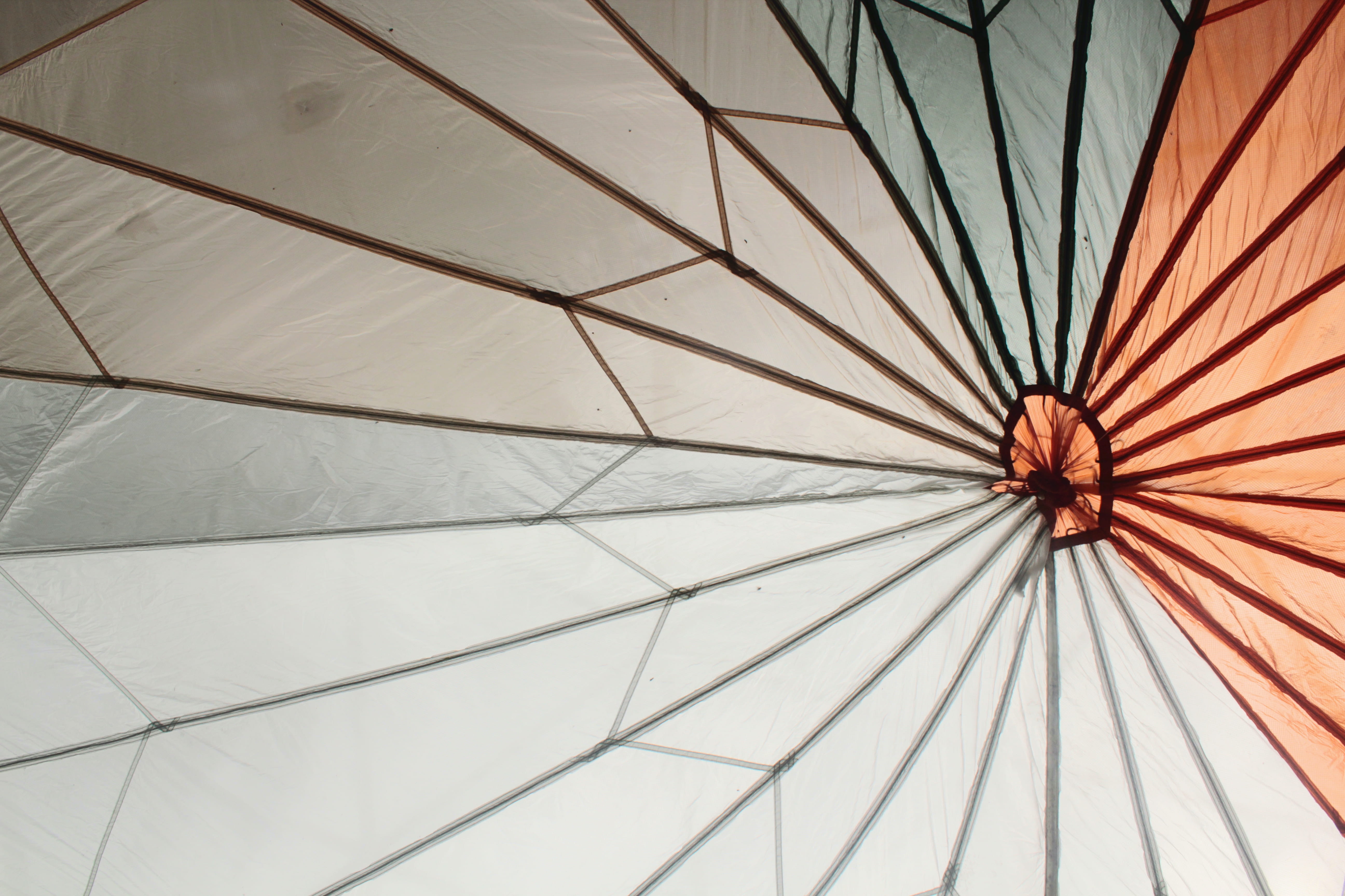 sky, pattern, low angle view, ceiling, full frame, no people
