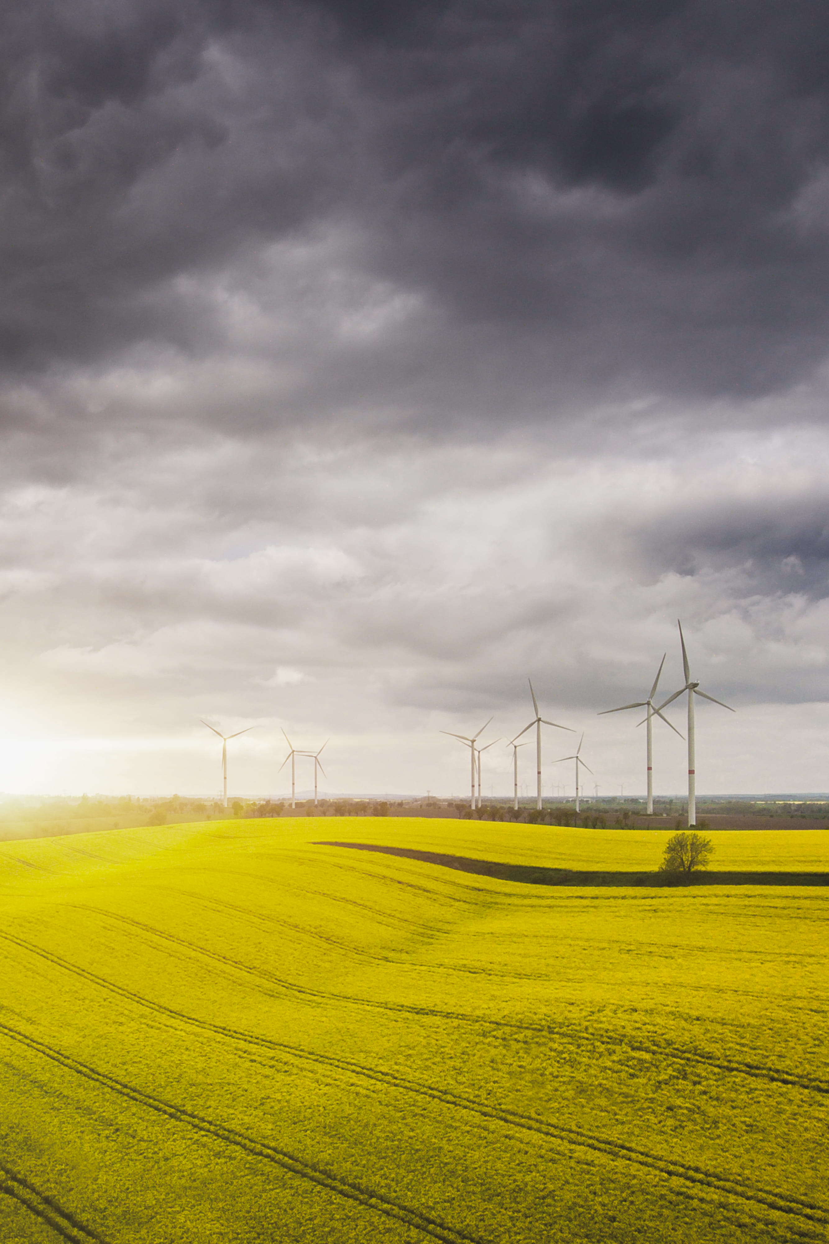 field, machine, engine, motor, grassland, outdoors, nature