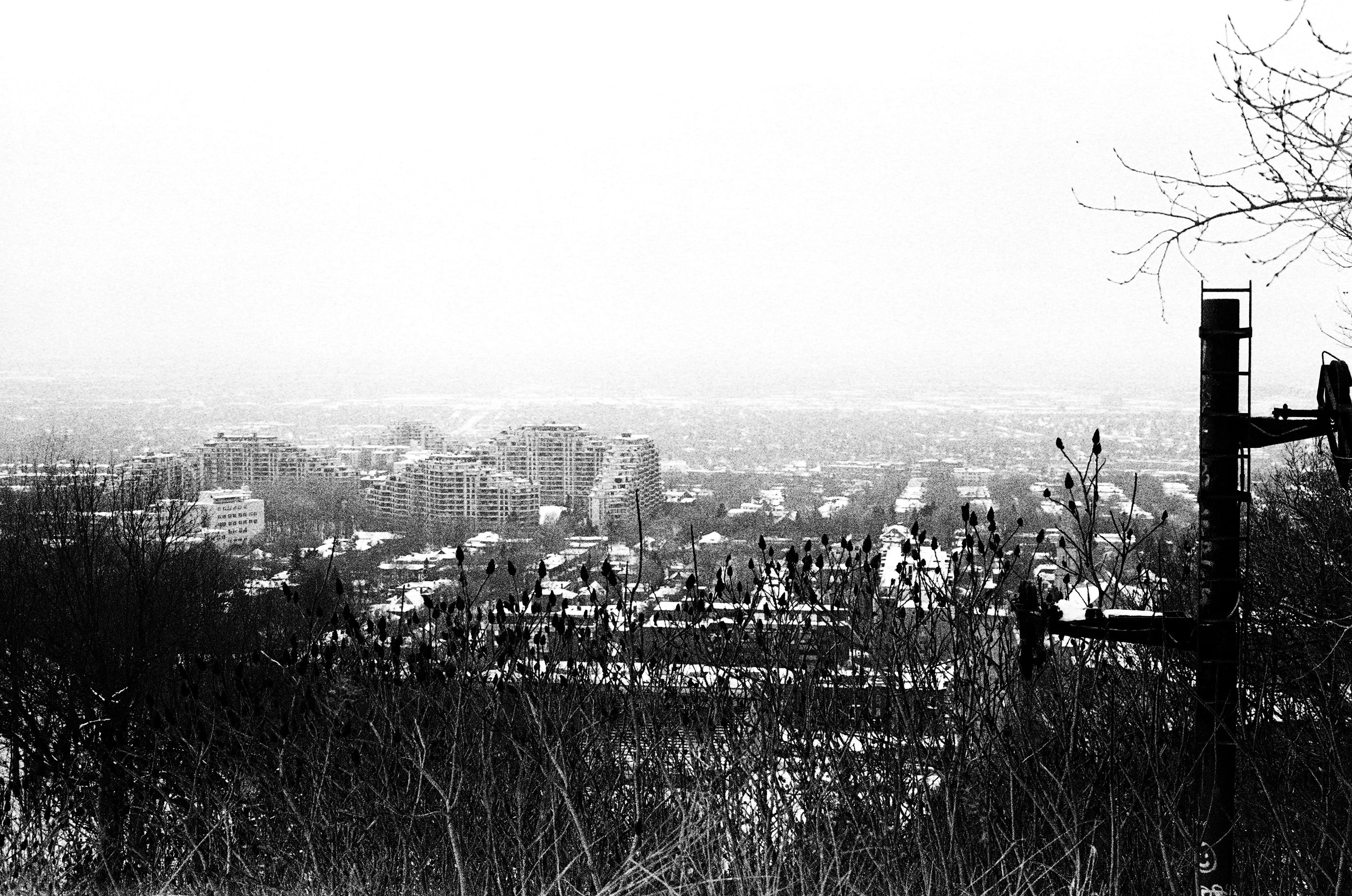 canada, montreal, building exterior, built structure, architecture