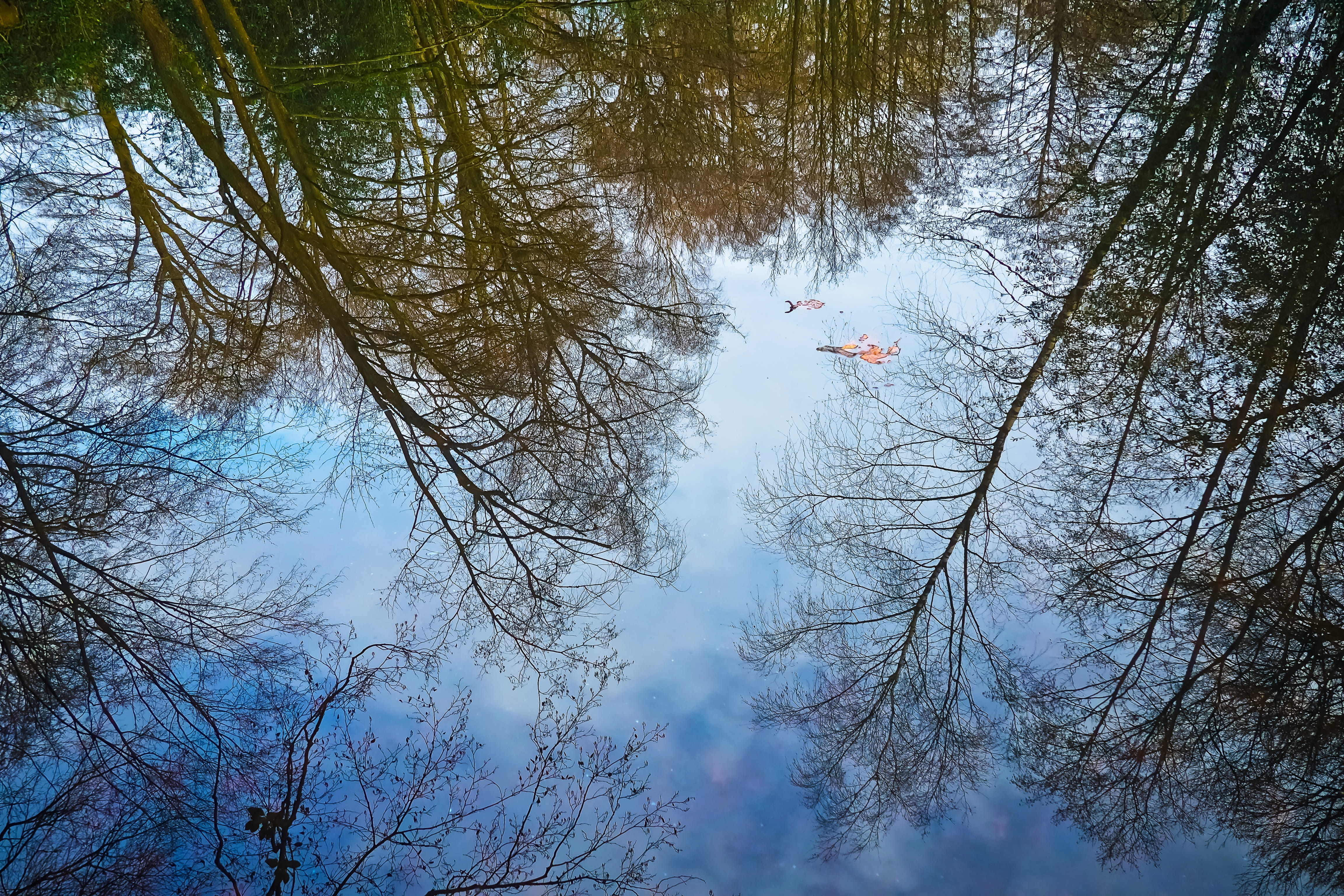 trees, lake, reflection, mirroring, mood, rest, waters, clouds