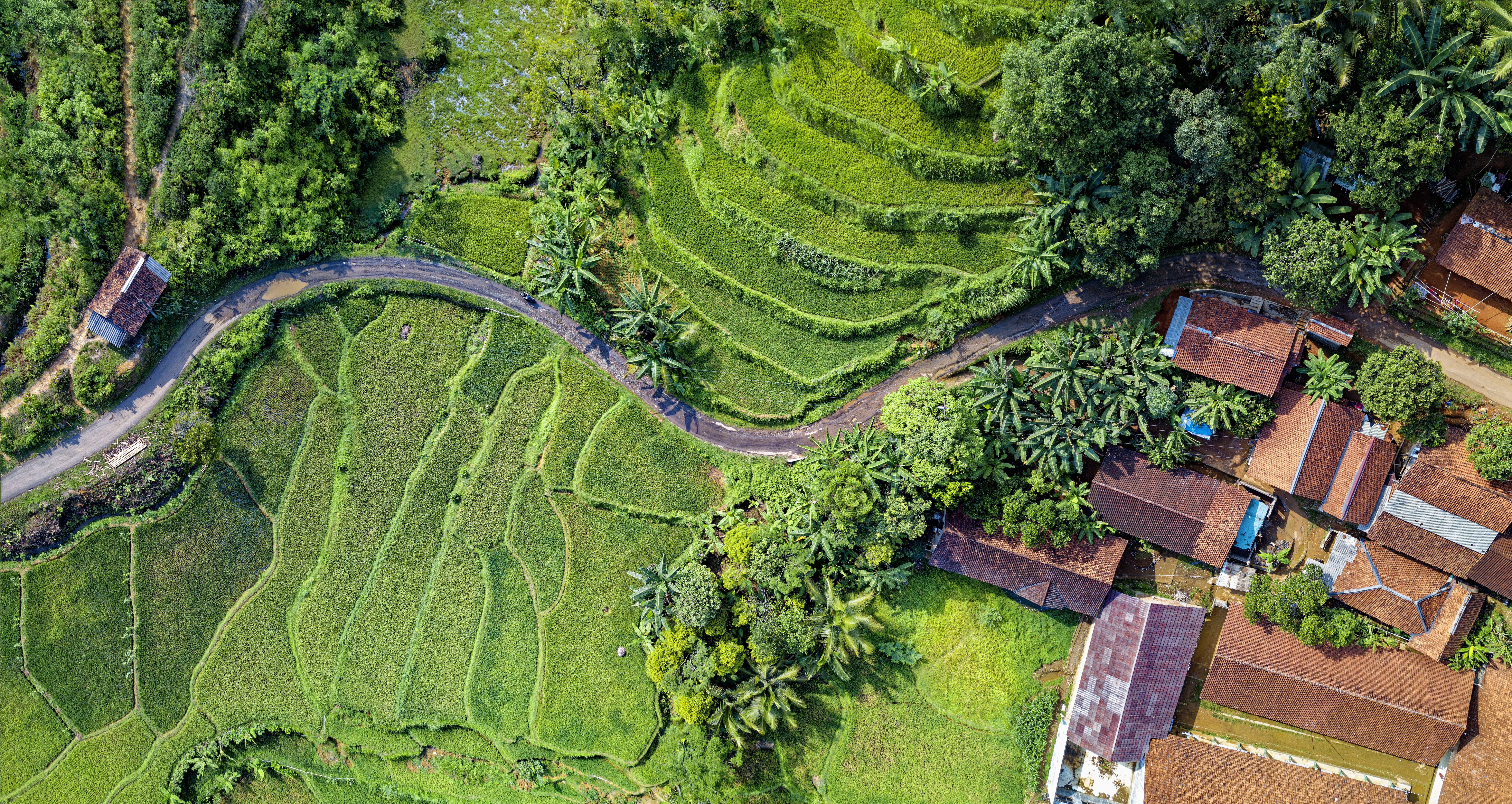 Aerial Photography Of Rice Terraces, aerial shot, bird's eye view