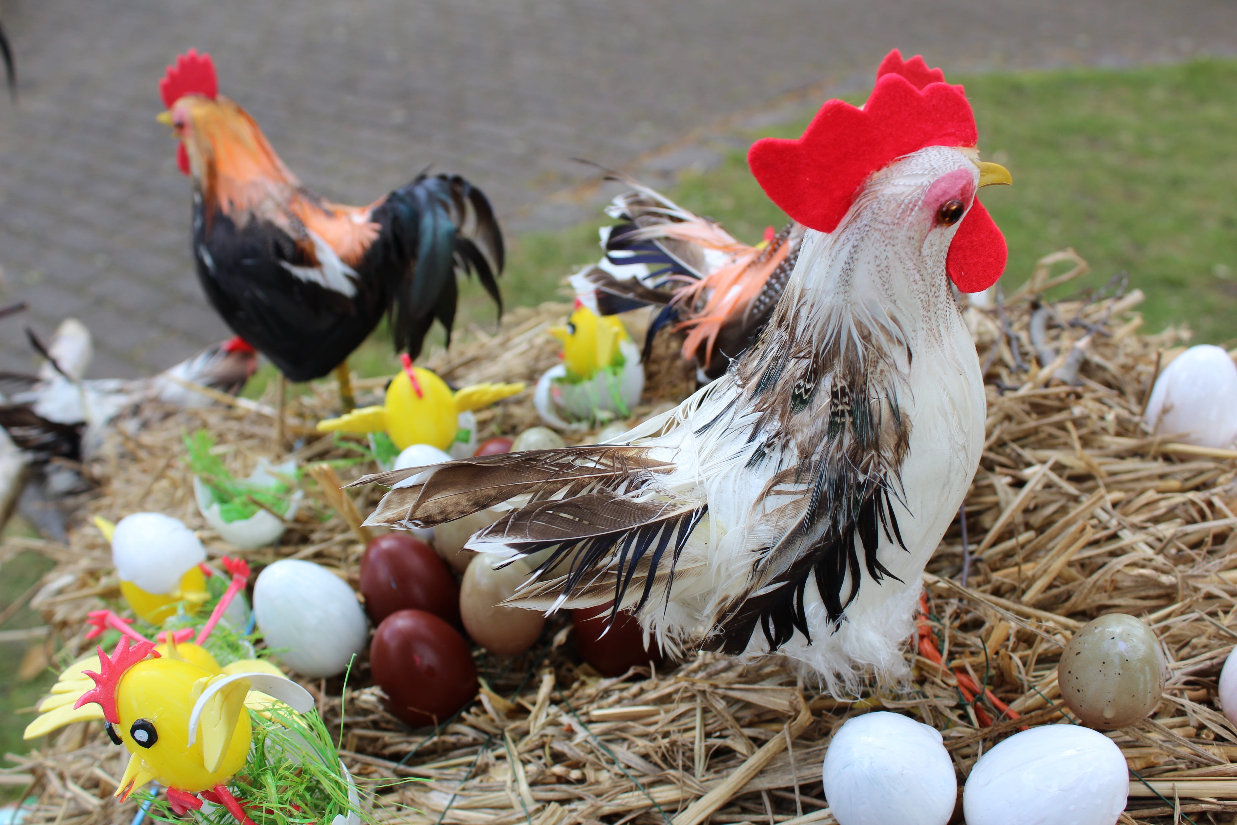 easter, easter eggs, easter decoration, custom, easter decorations