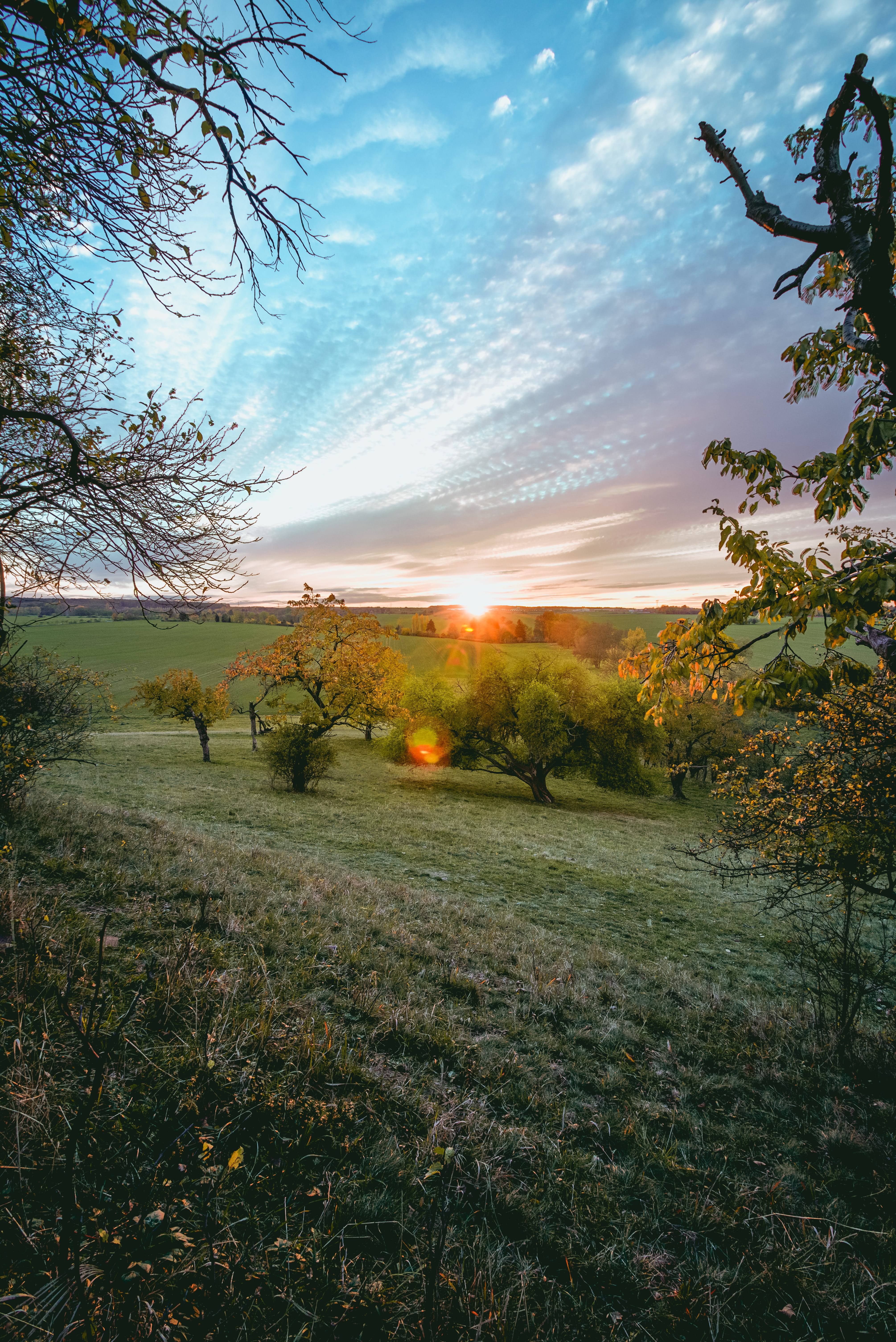 cloud, stacking, sunset, tress, view, landscape, background