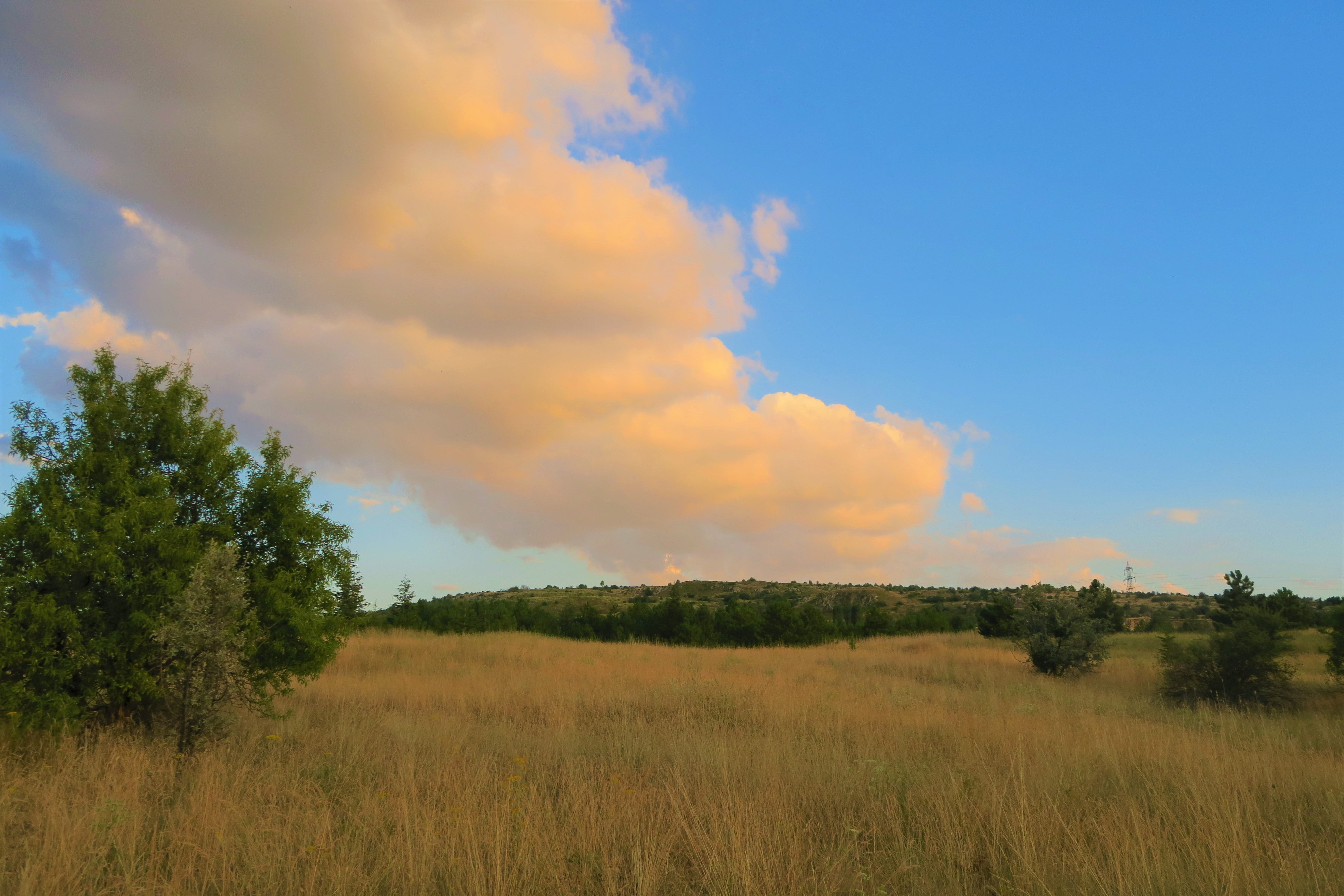 nature, cloud, clouds, sky, outdoor, mountains, plant, tree