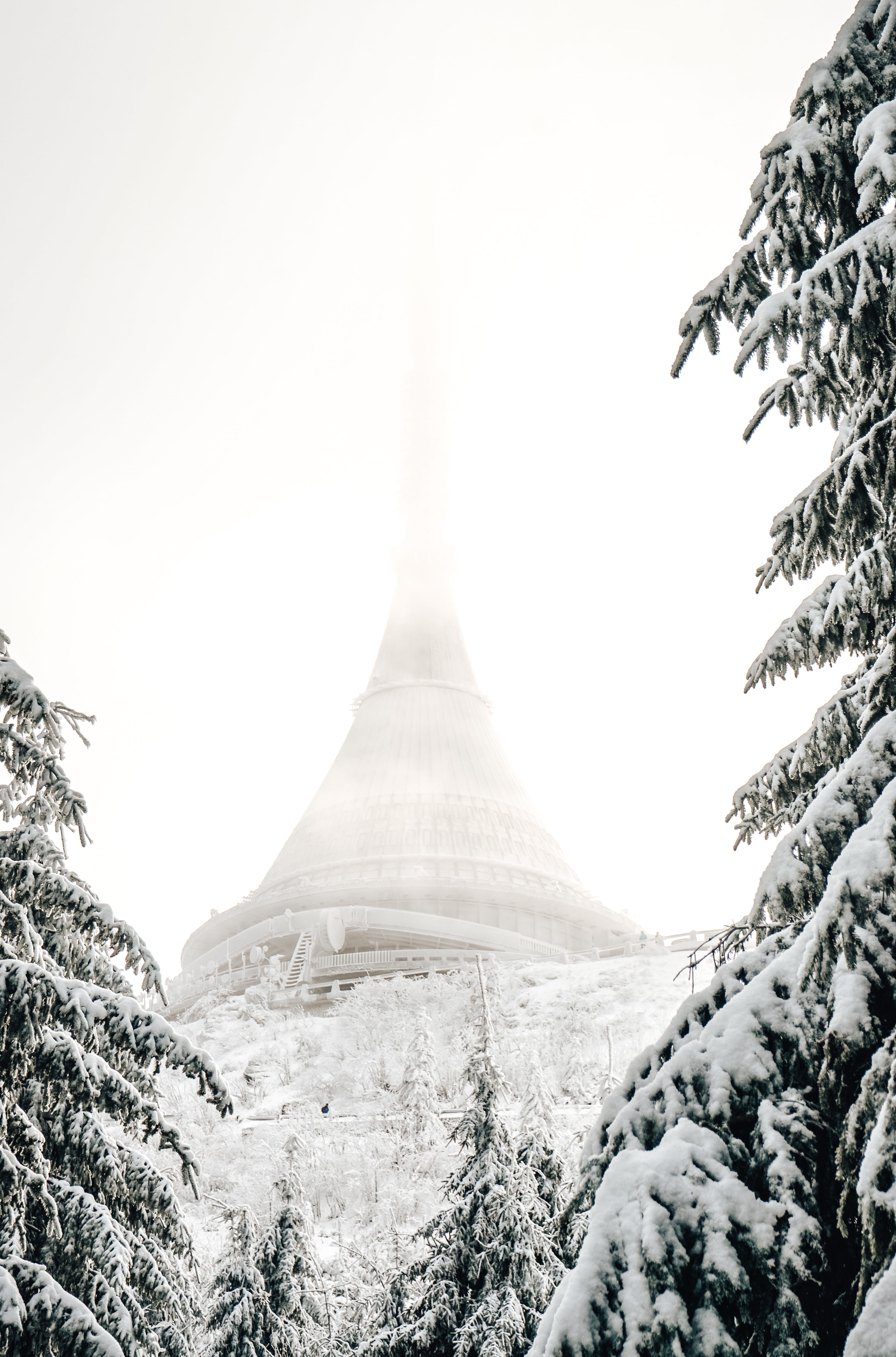 green-leafed tree, winter, cold temperature, mountain, snow, nature