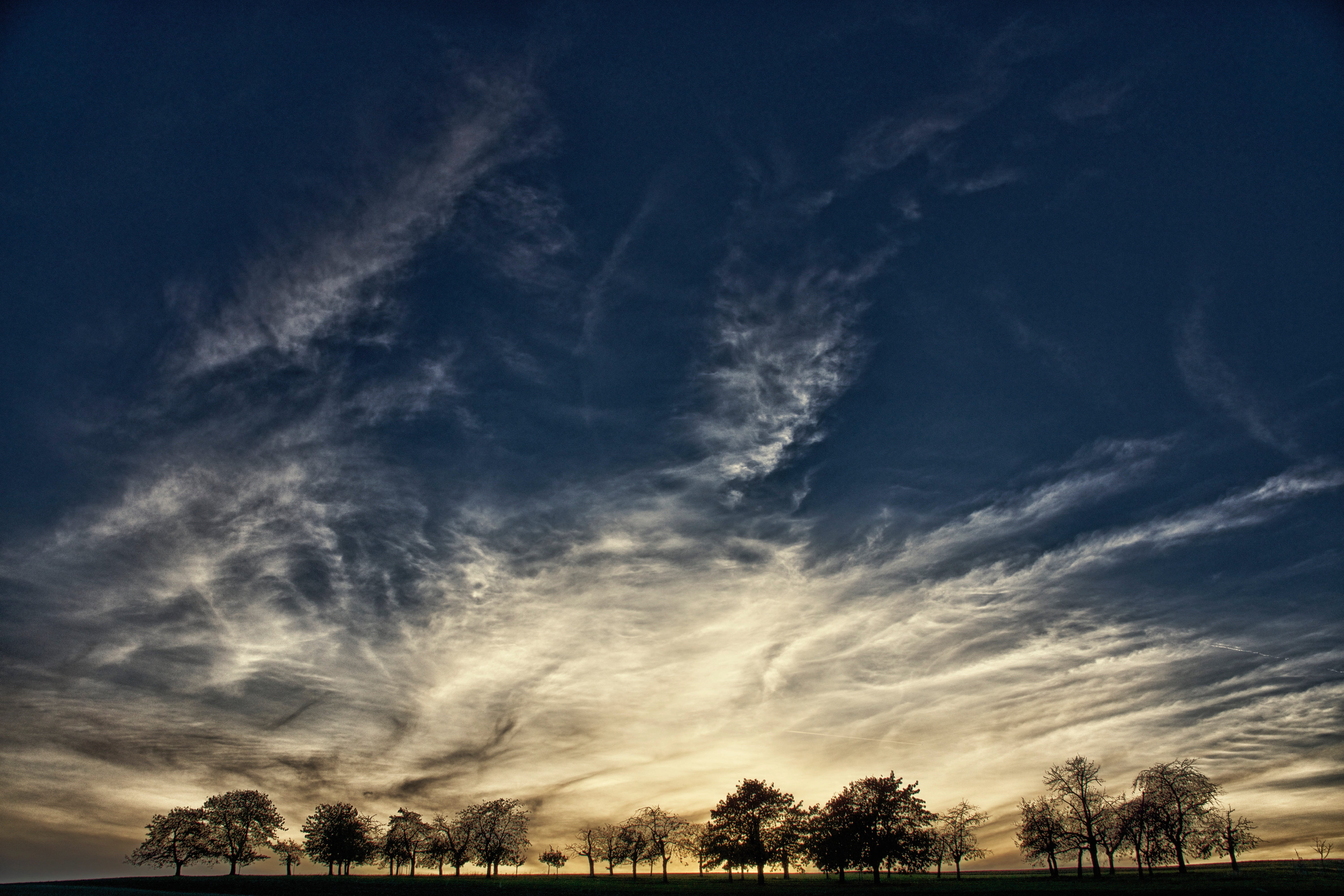 trees, sky, evening, dusk, clouds, background, cloud - sky