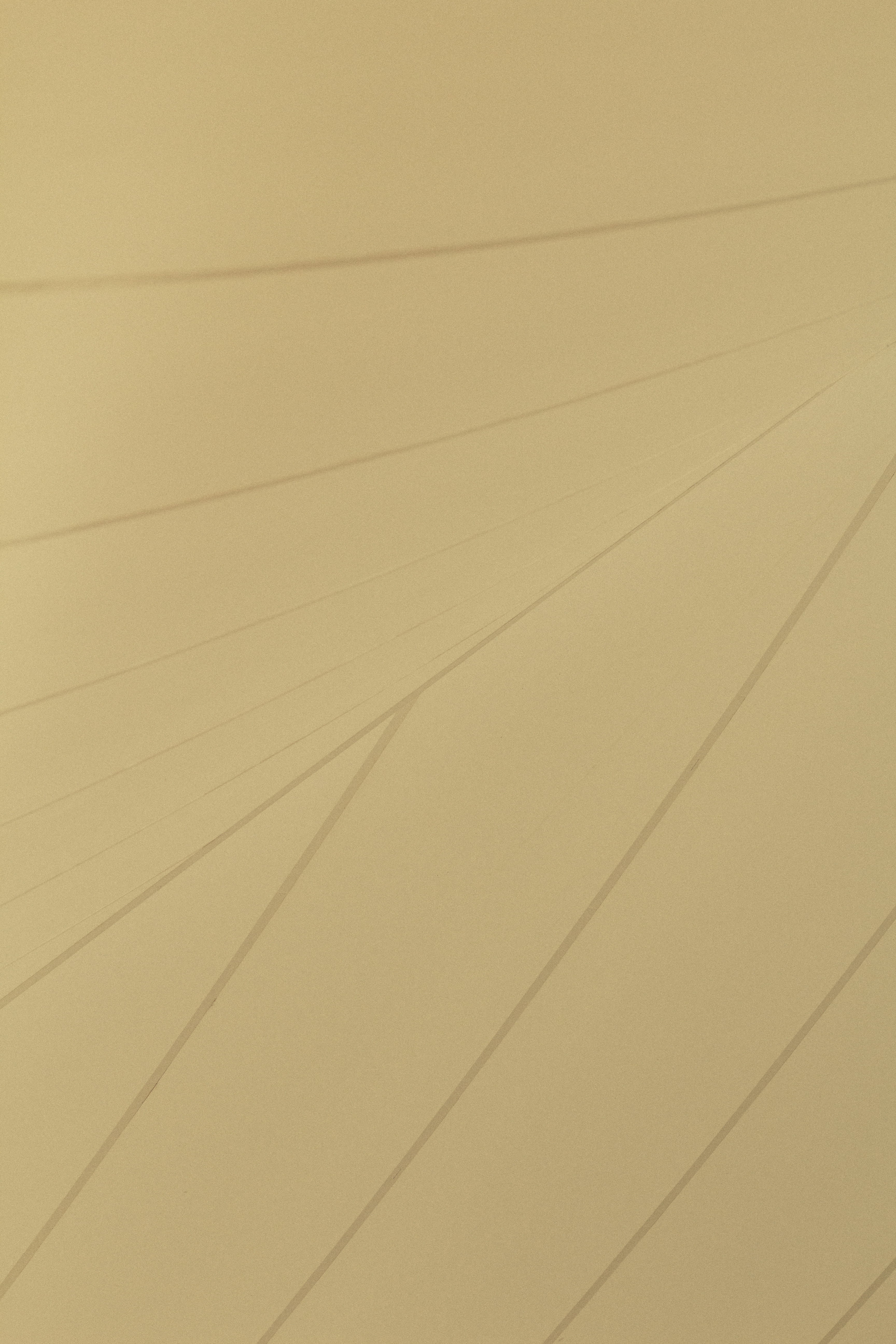 lines, light, canopy, minimal, full frame, backgrounds, no people