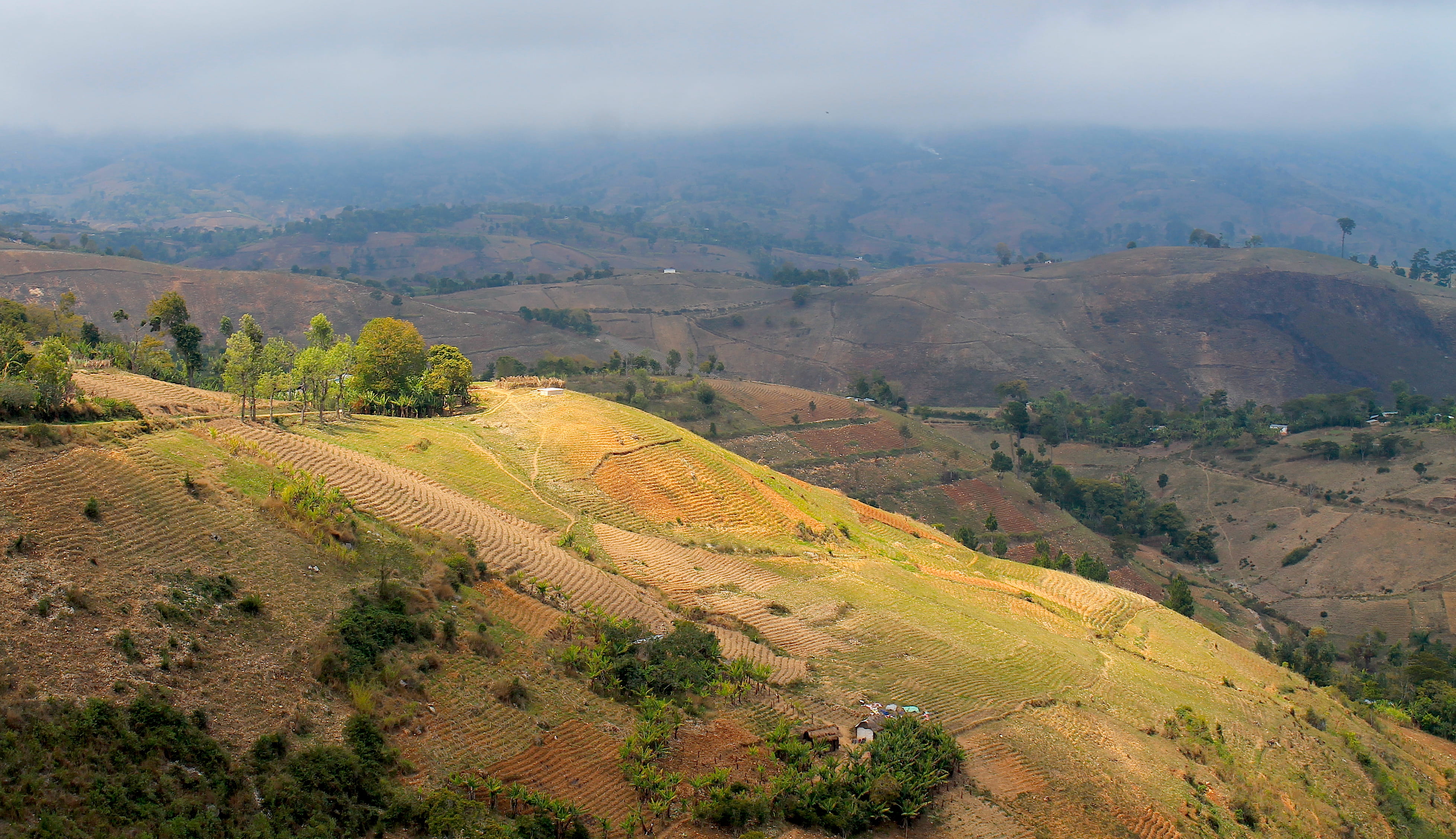 Free download | HD wallpaper: haiti, hills, nature, farm, landscape ...