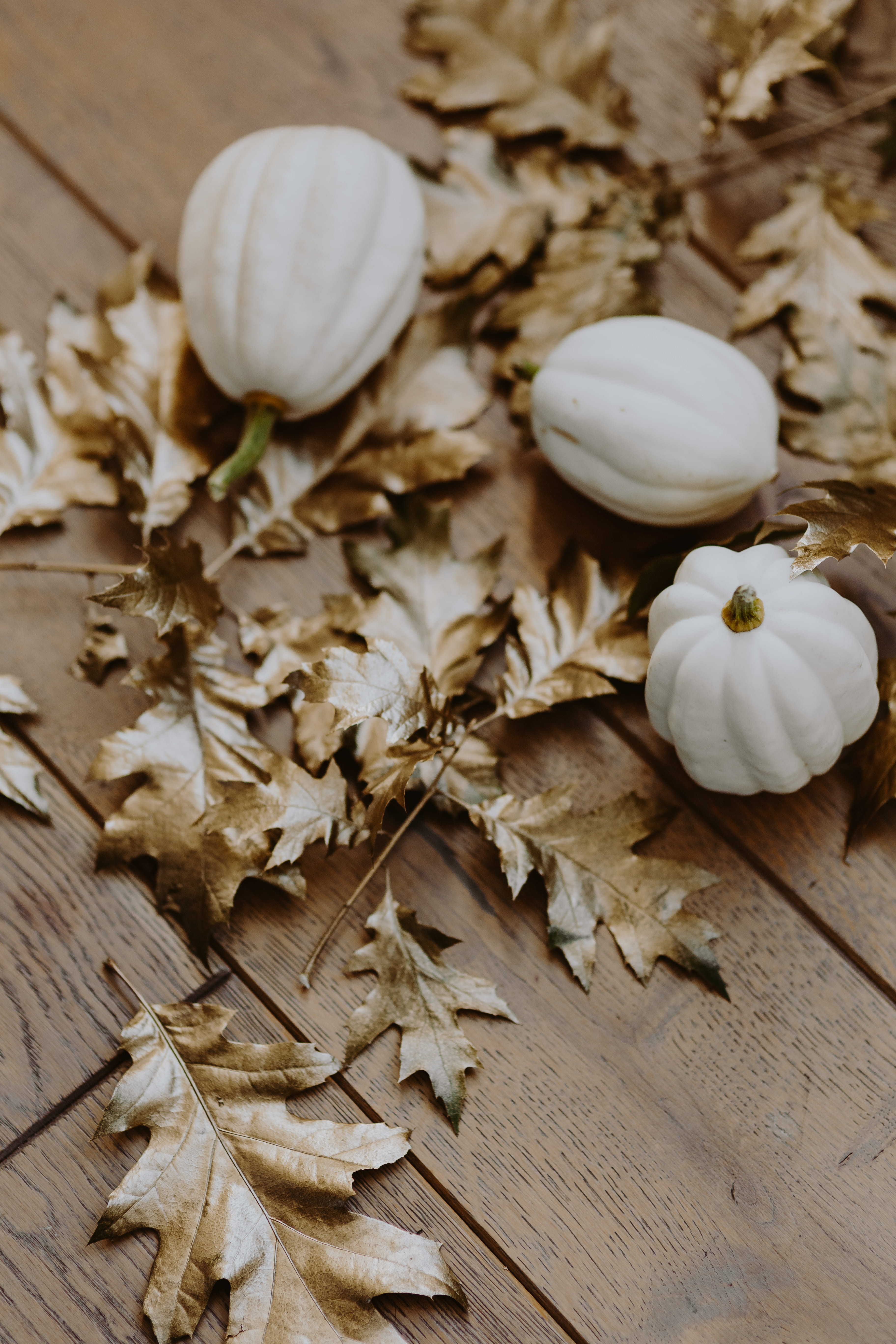 White pumpkins with golden oak leaves, white pumkin, leaf, painted leaf