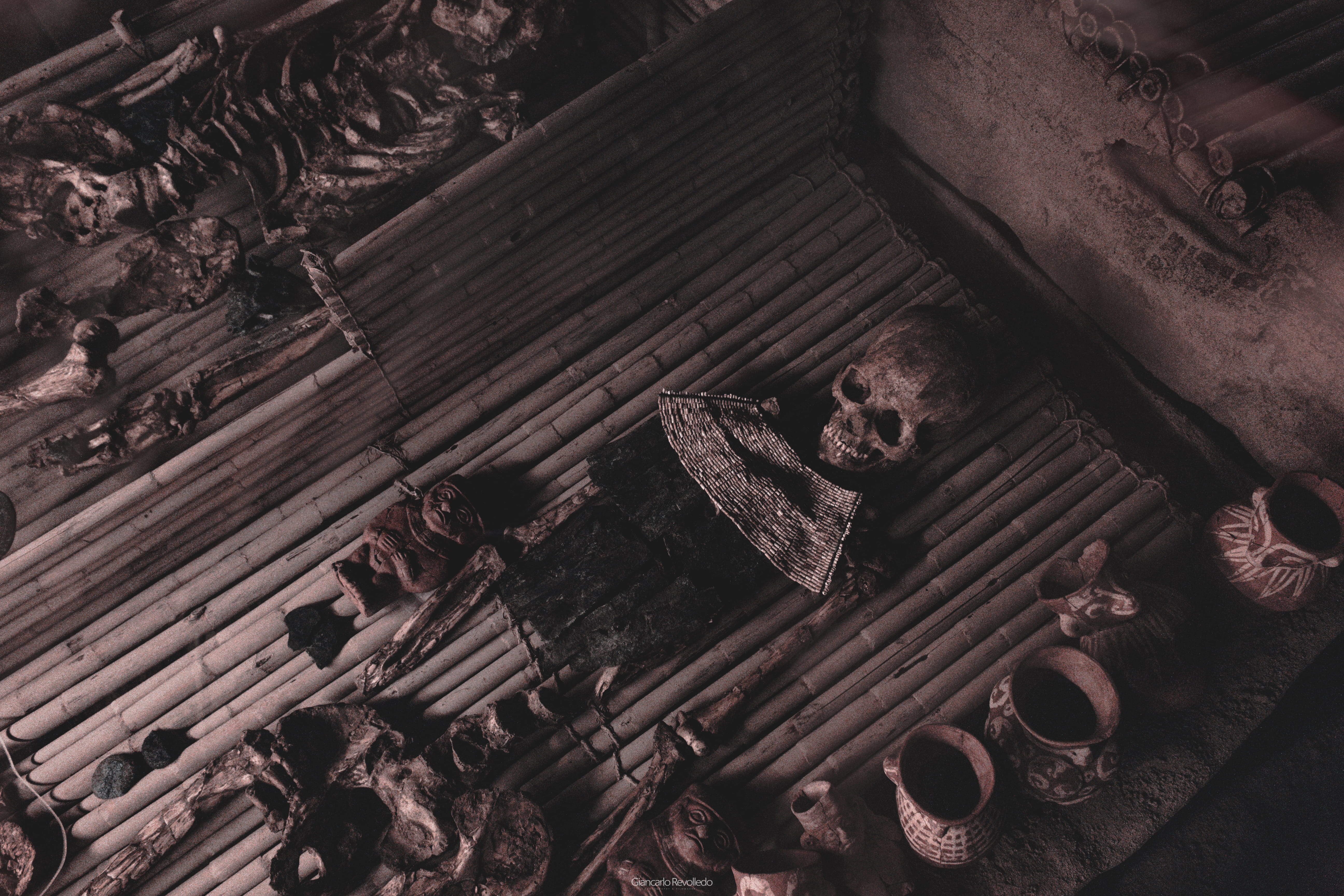 human skeleton decor, no people, high angle view, wood - material