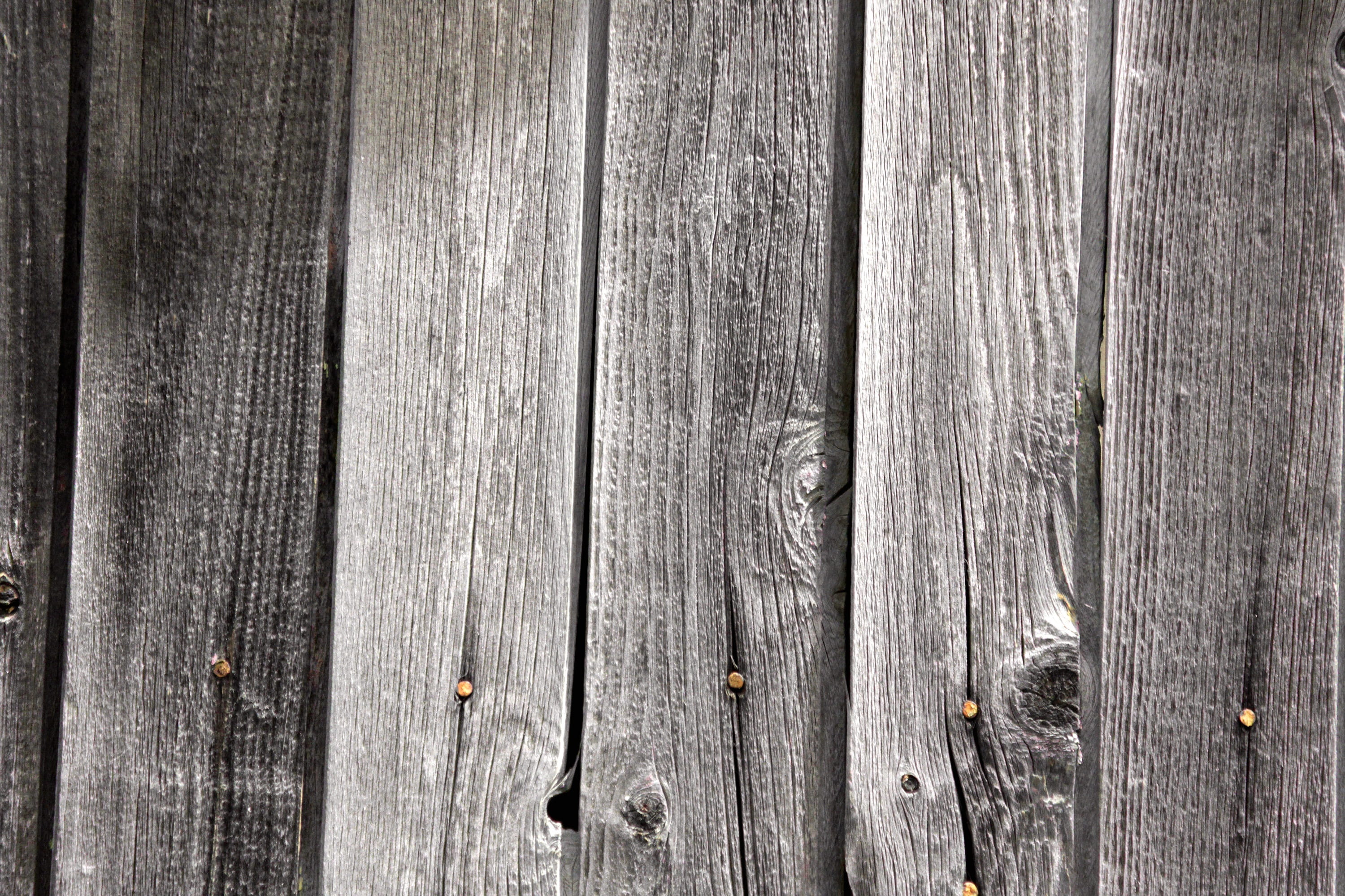 tree, grey, background, texture, nails, old tree, knots, wood - material