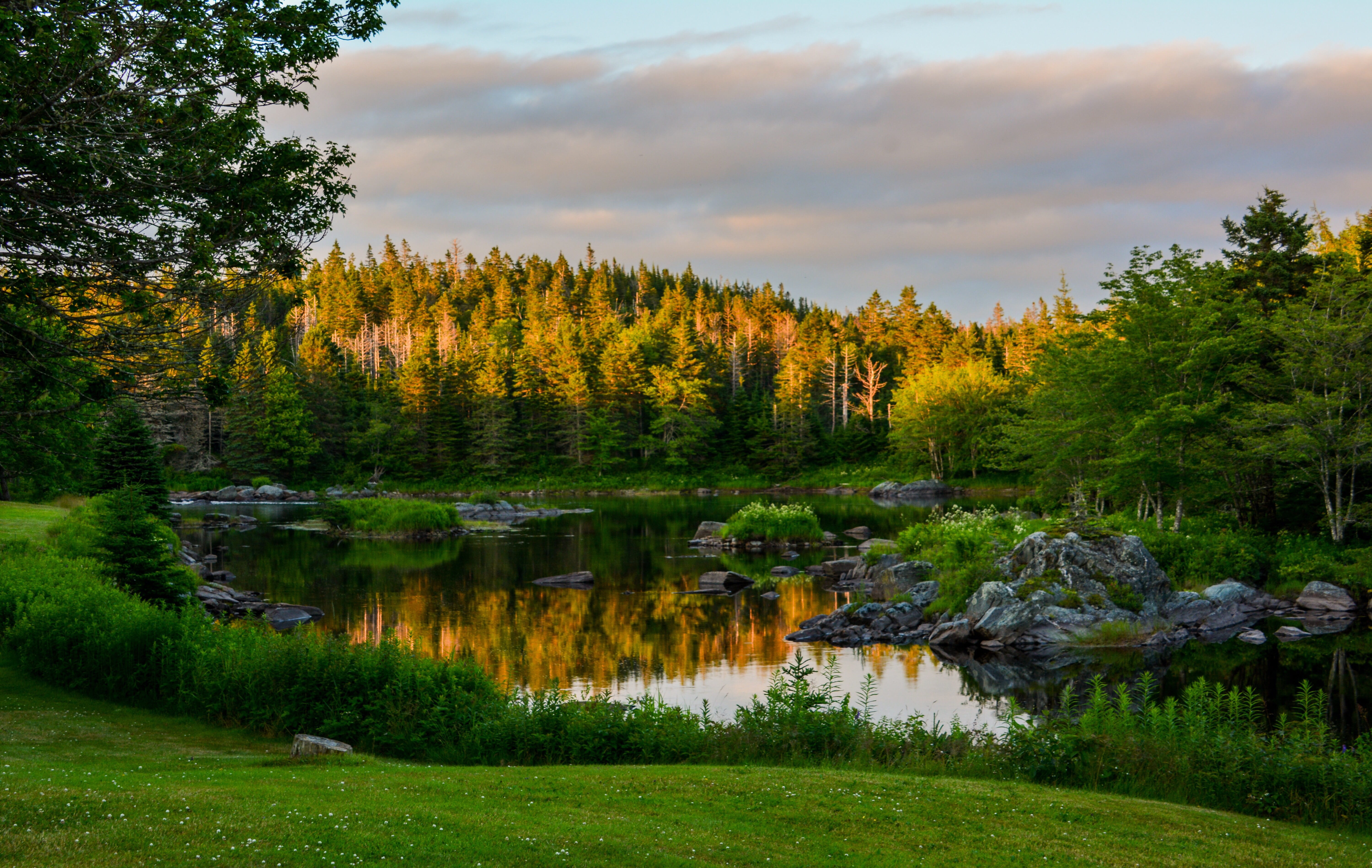 river, forest, landscape, reflection, green, twilight, clouds