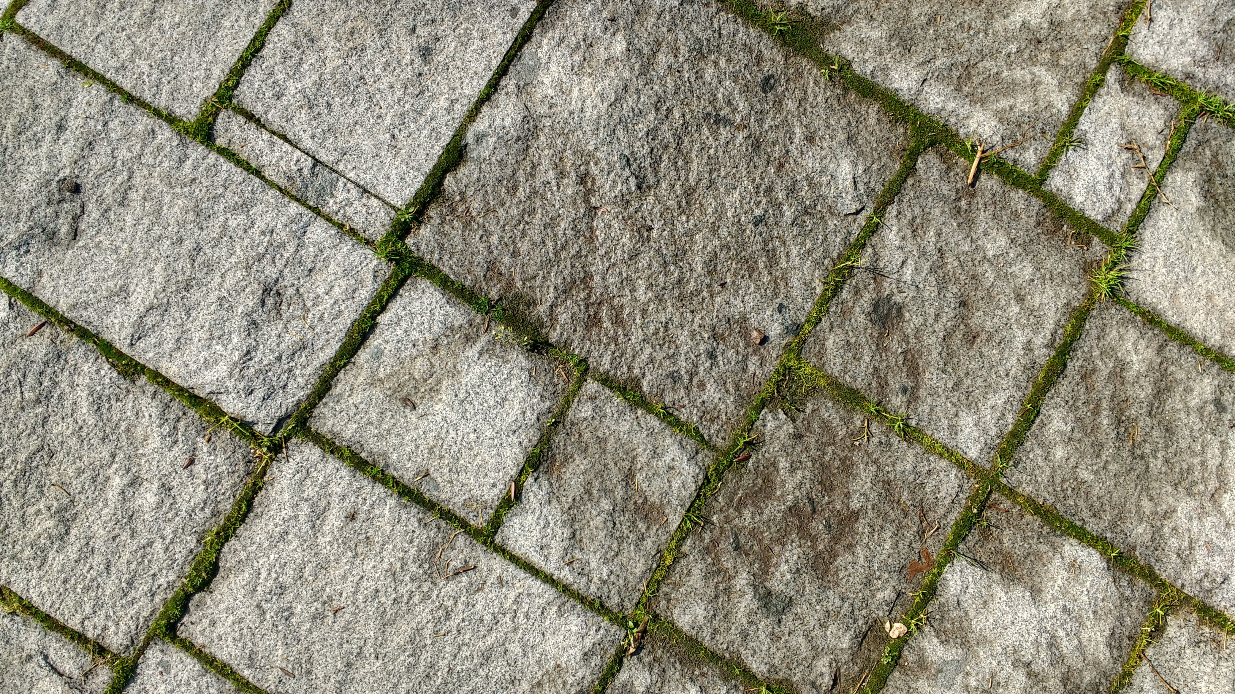 floor, moss, cement, texture, full frame, pattern, backgrounds