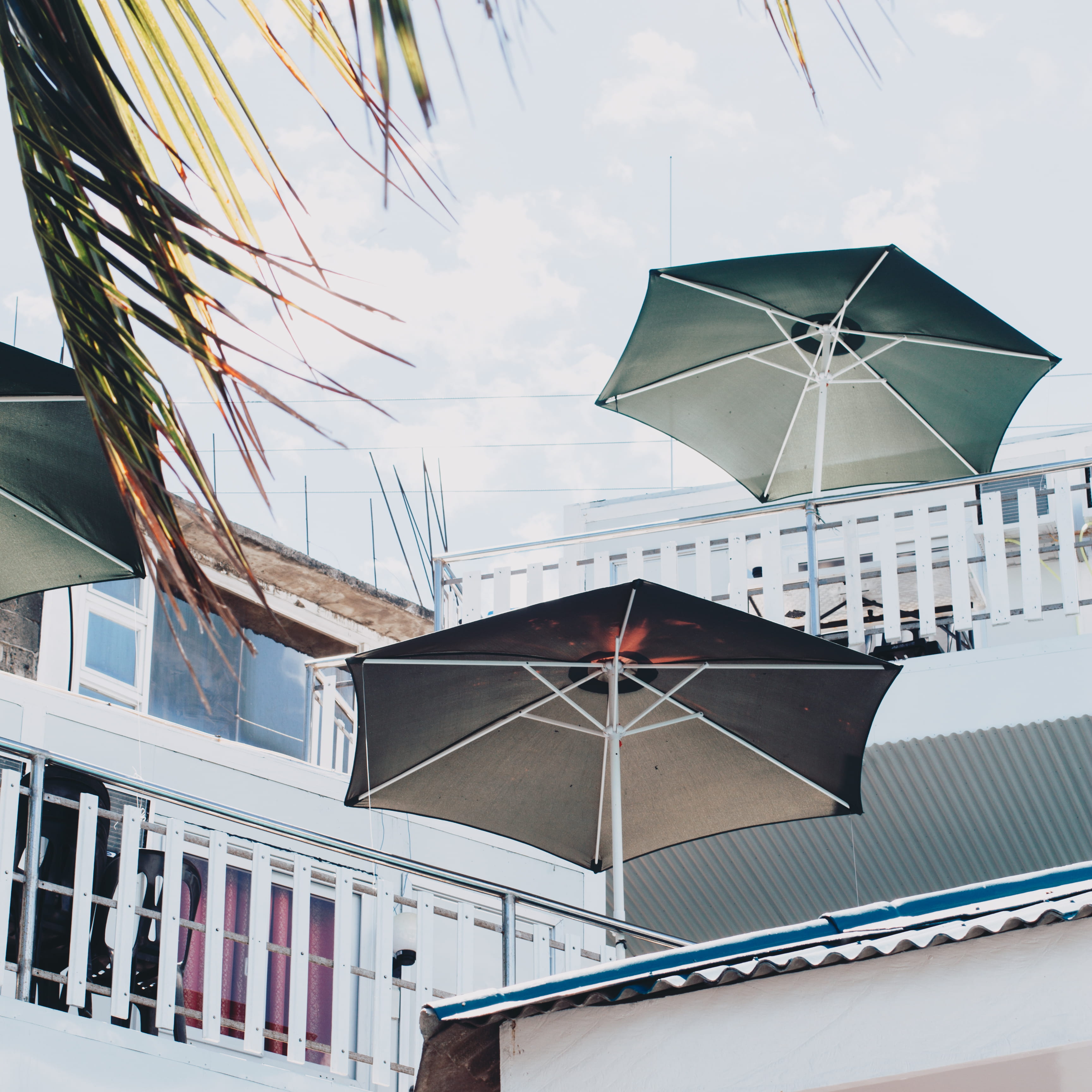 accommodation, umbrella, summer, trees, hotel, beach, vacation