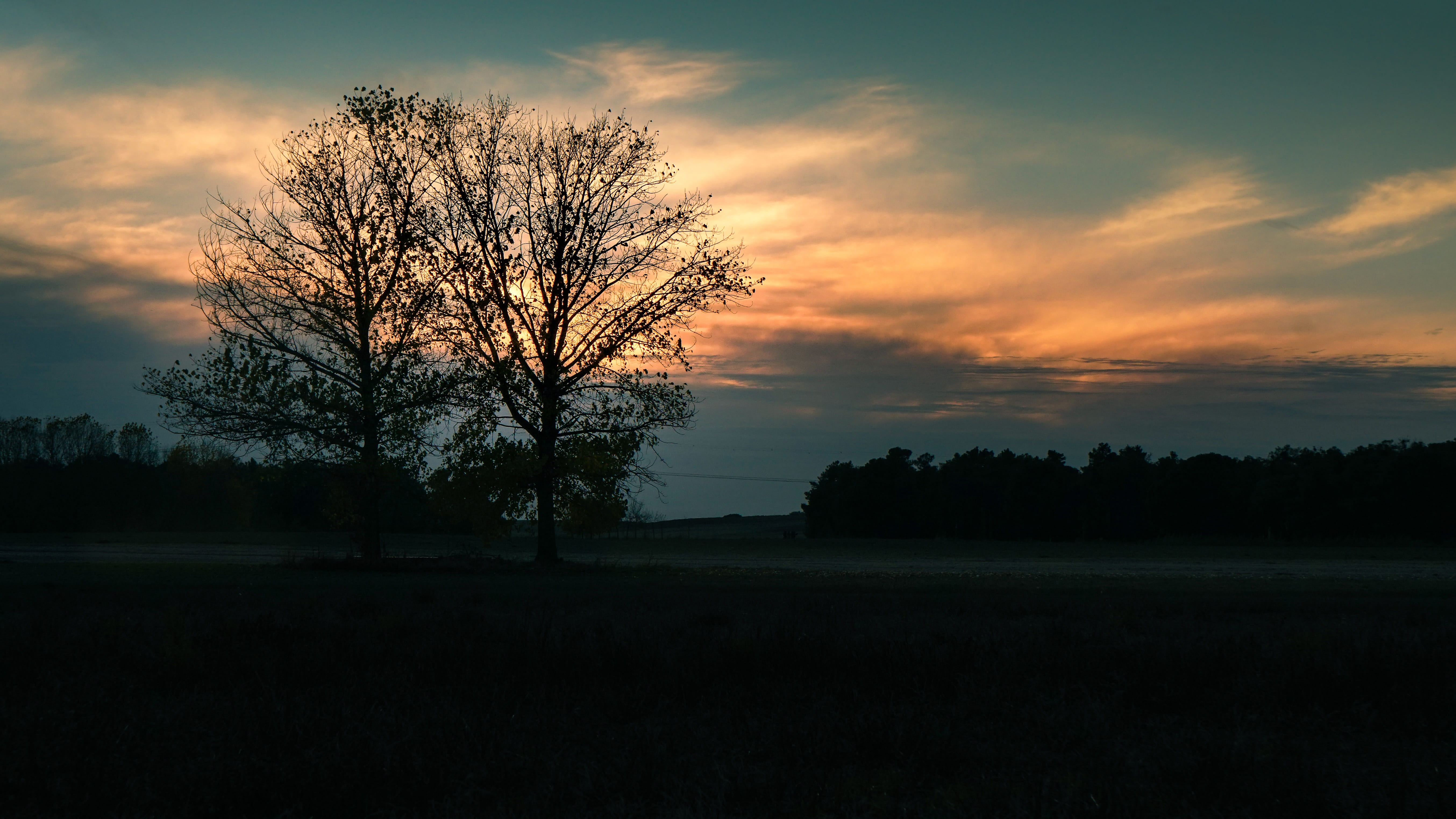dusk, tree, light, sky, landscape, clouds, sunset, cloud - sky