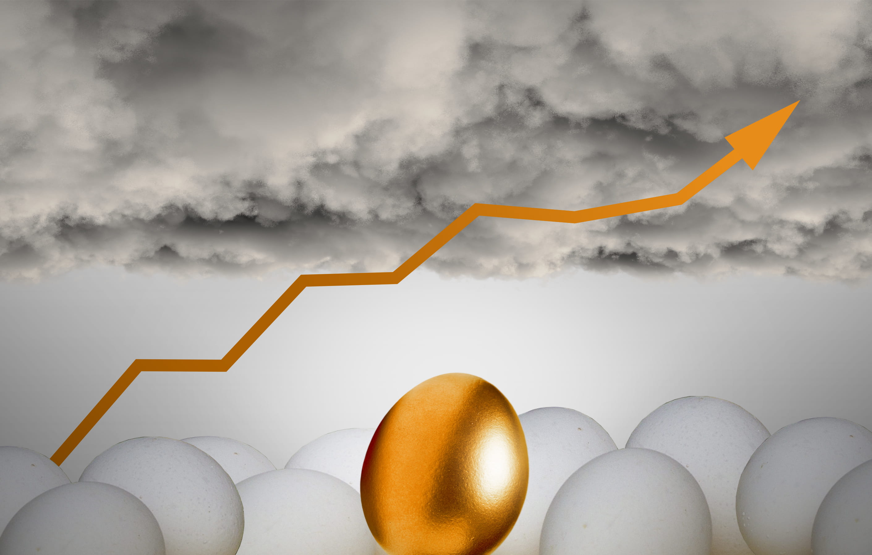 Golden Egg - Savings - Investments, different, eggs, animal, background