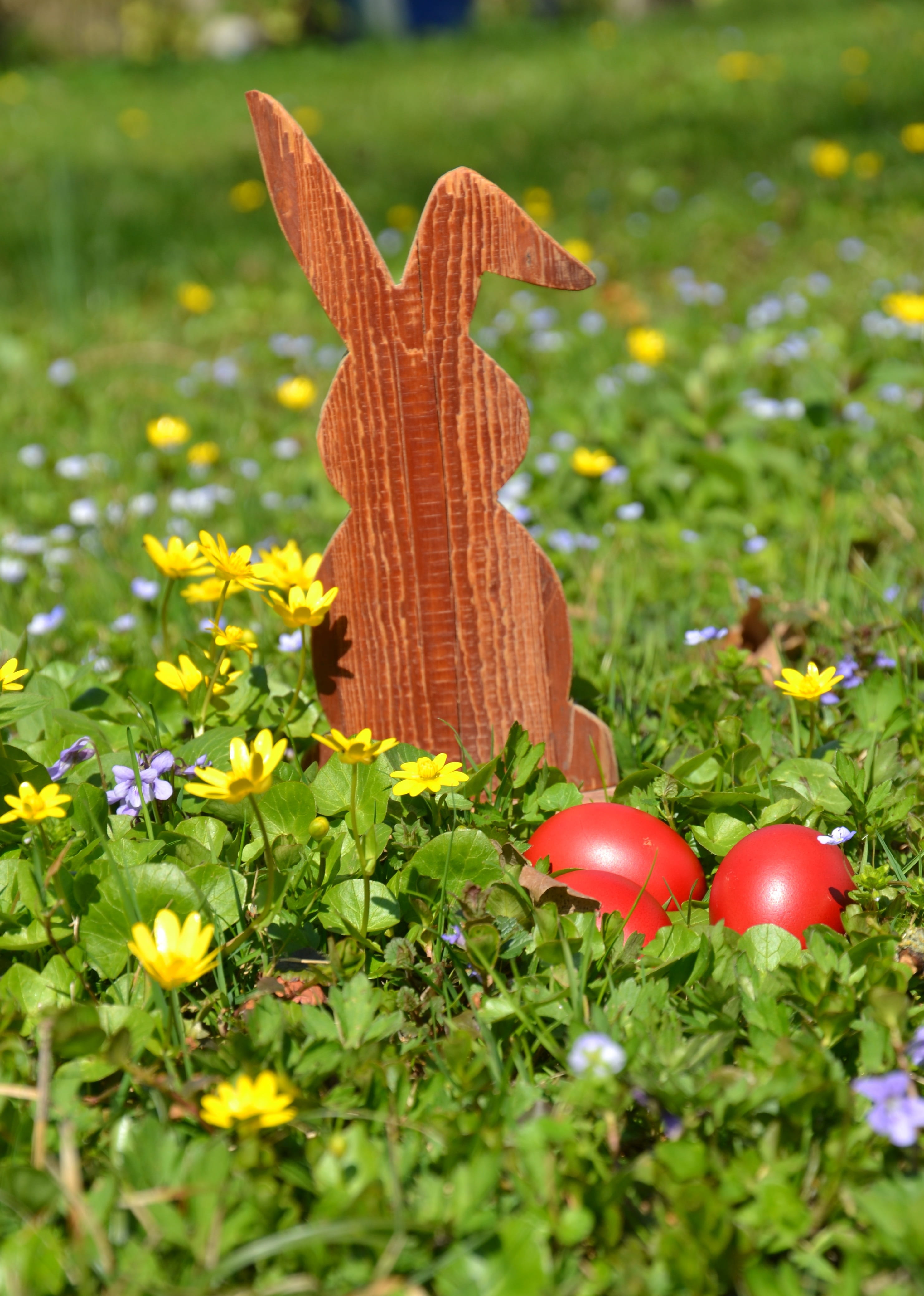 easter, hare, easter bunny, spring, grass, nature, egg, easter theme