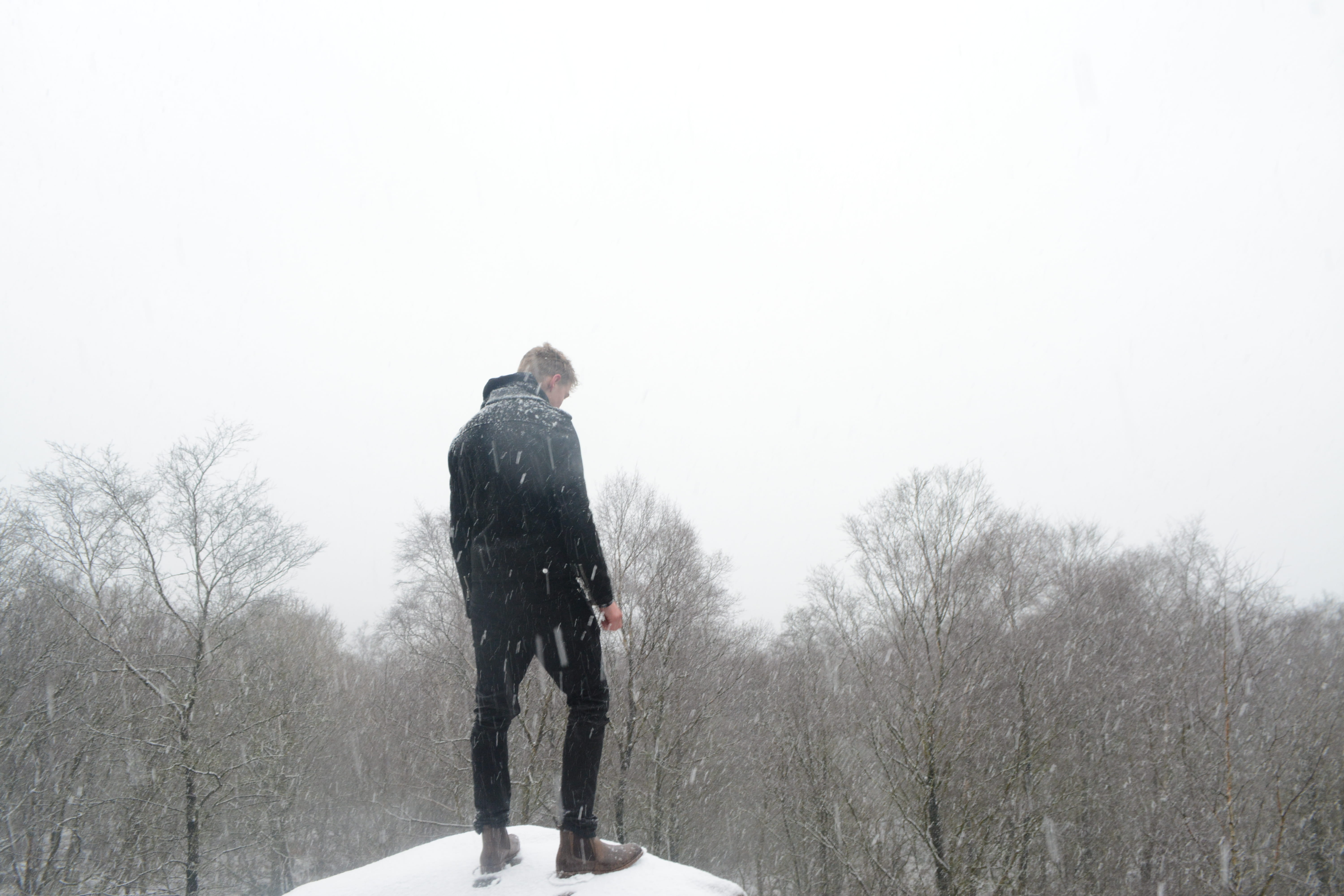 trees, forest, snow, cold, climate, portrait, model, black