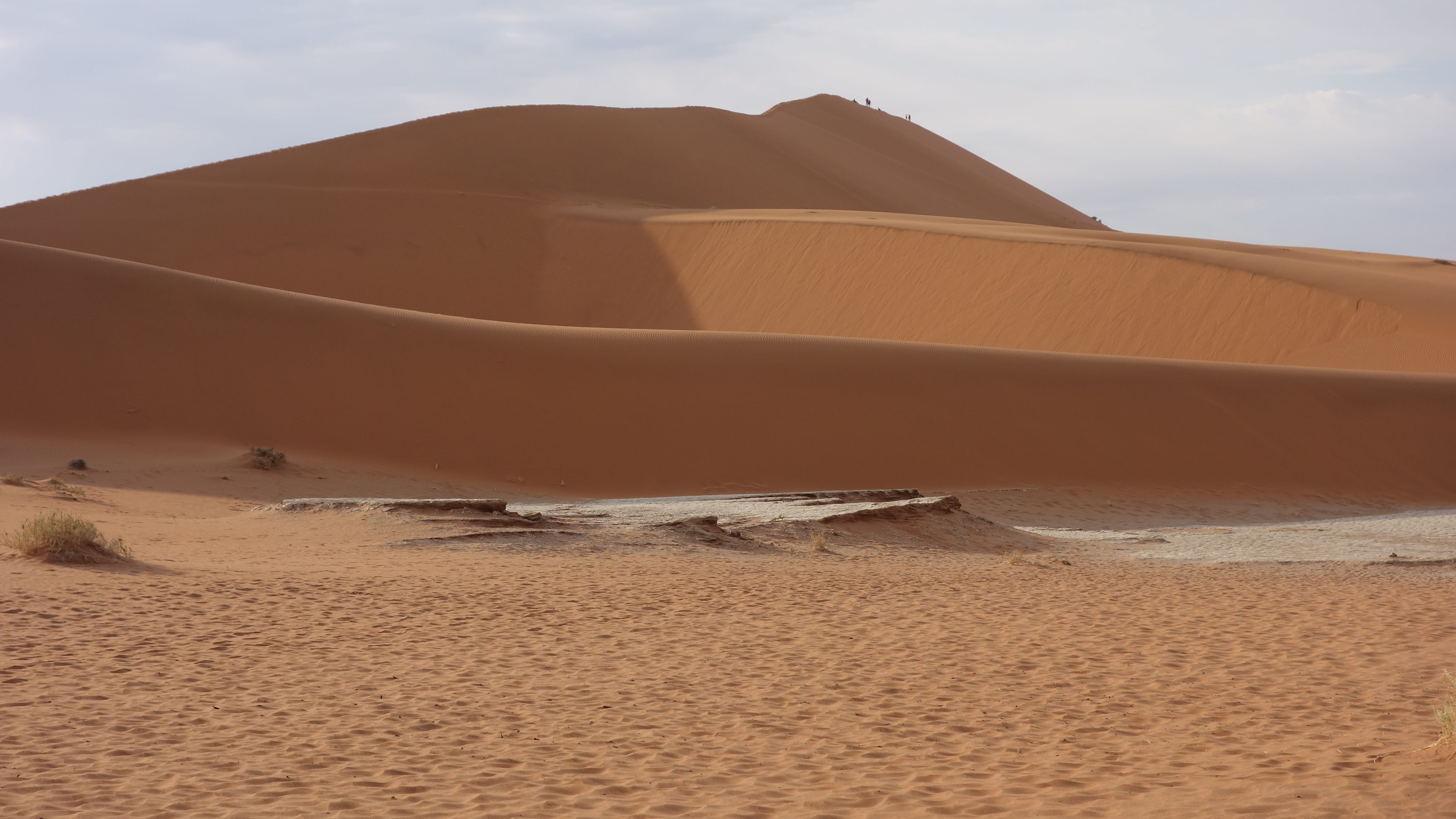 desert, namib, sand, dunes, dry, namib desert, sand dunes, land