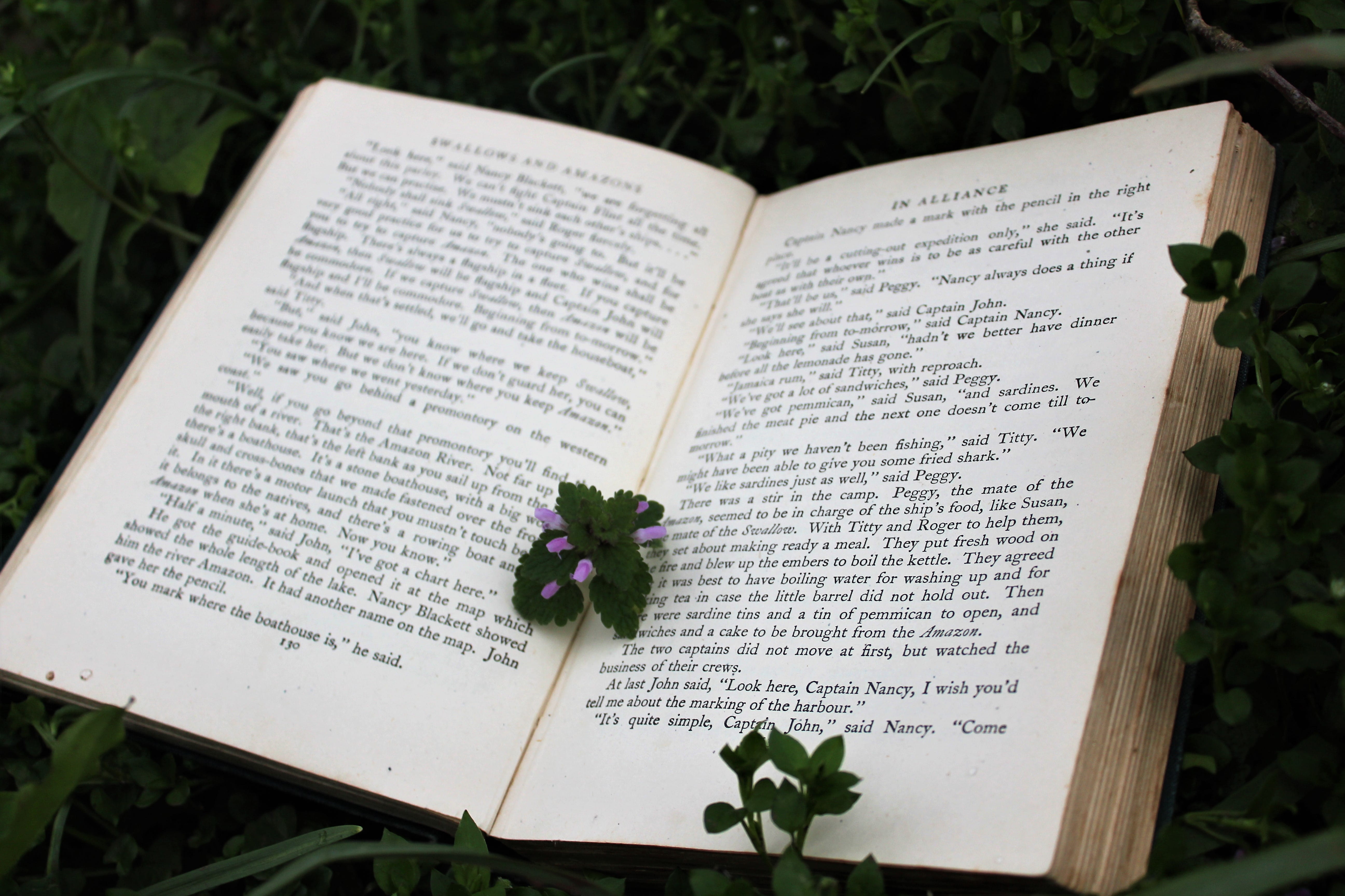 green leaf on book, text, publication, communication, western script