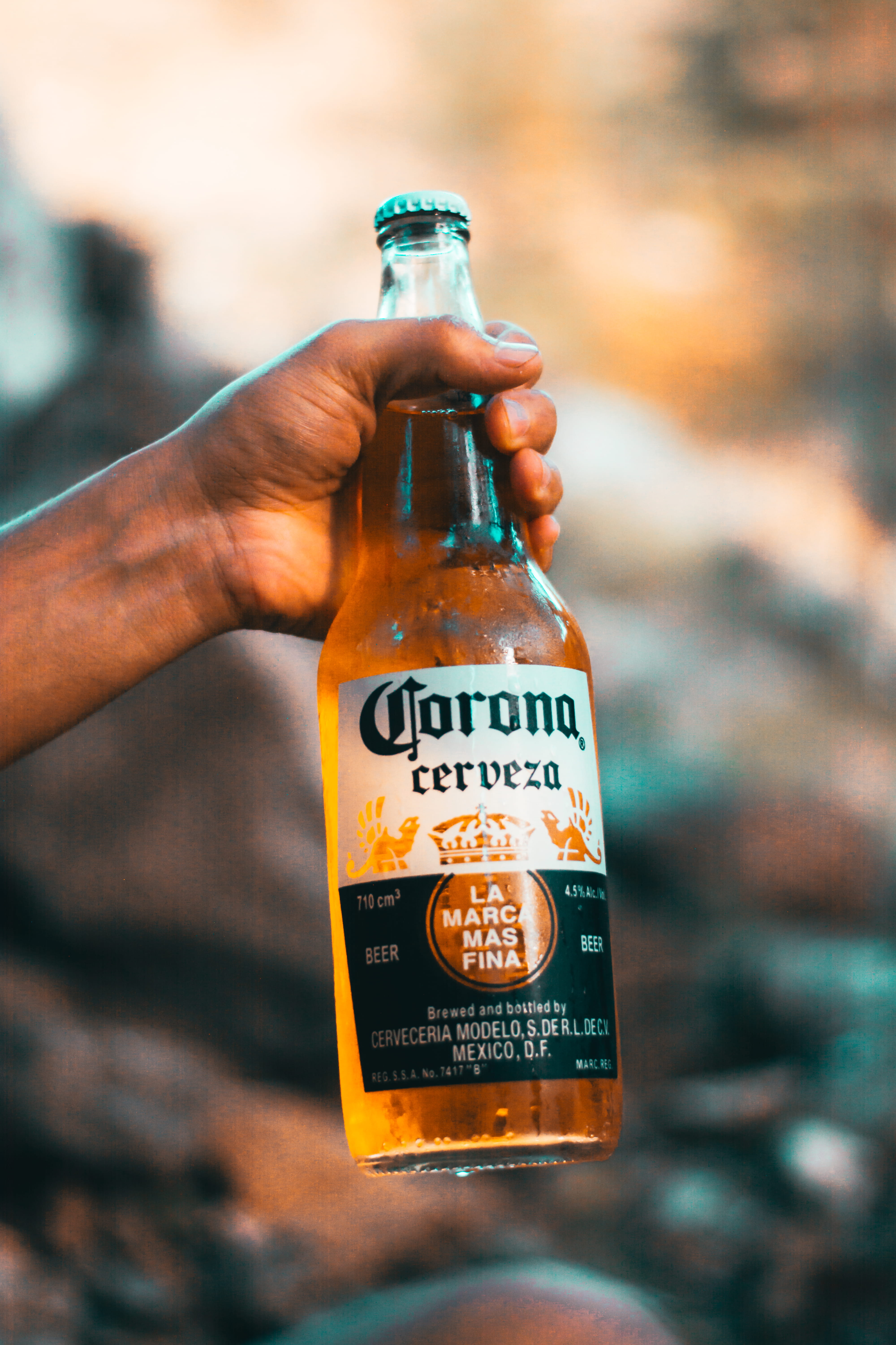 Person Holding Corona Cerveza Bottle, alcohol, alcoholic beverage