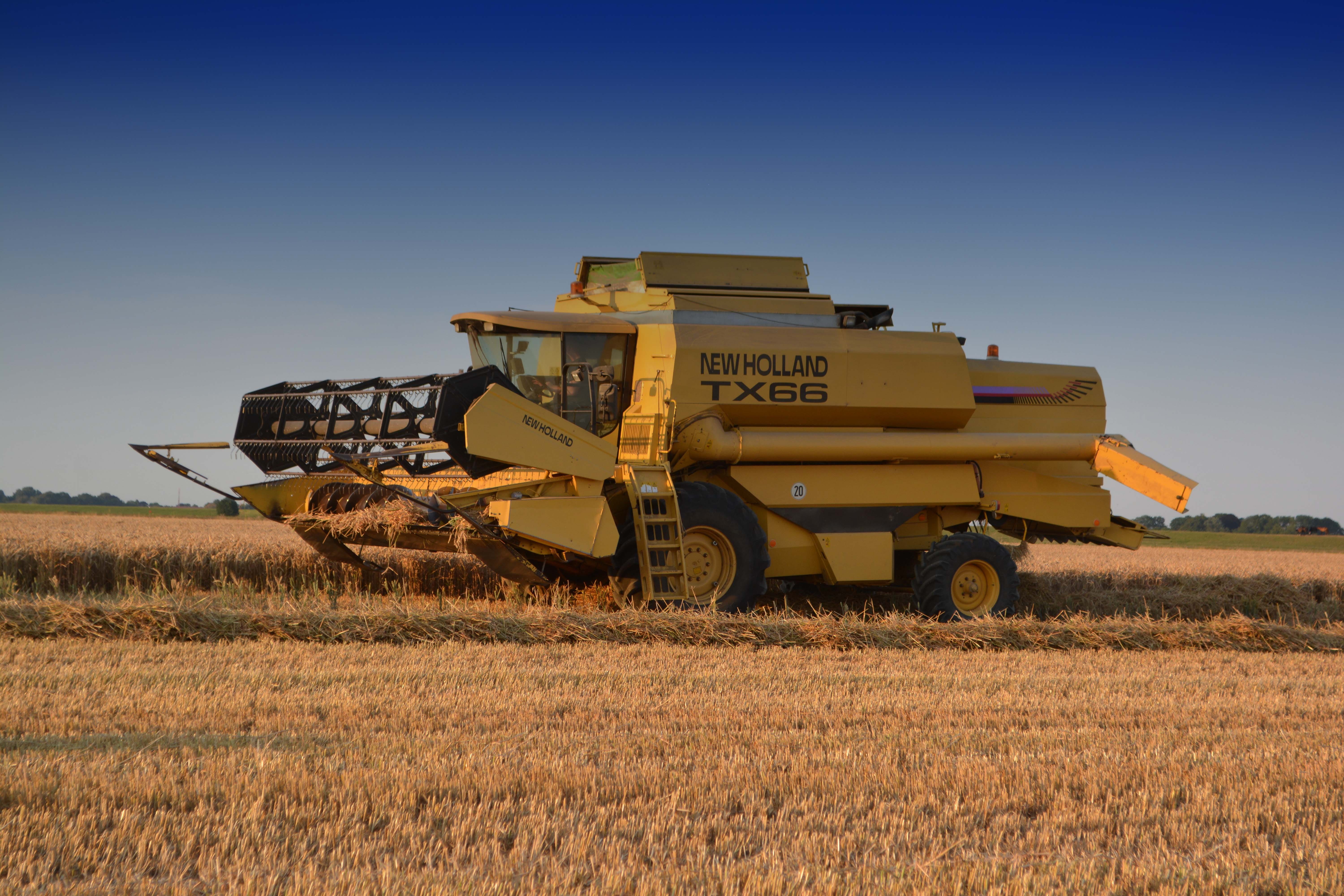 combine harvester, new holland, farm, nature, rolling harvest time