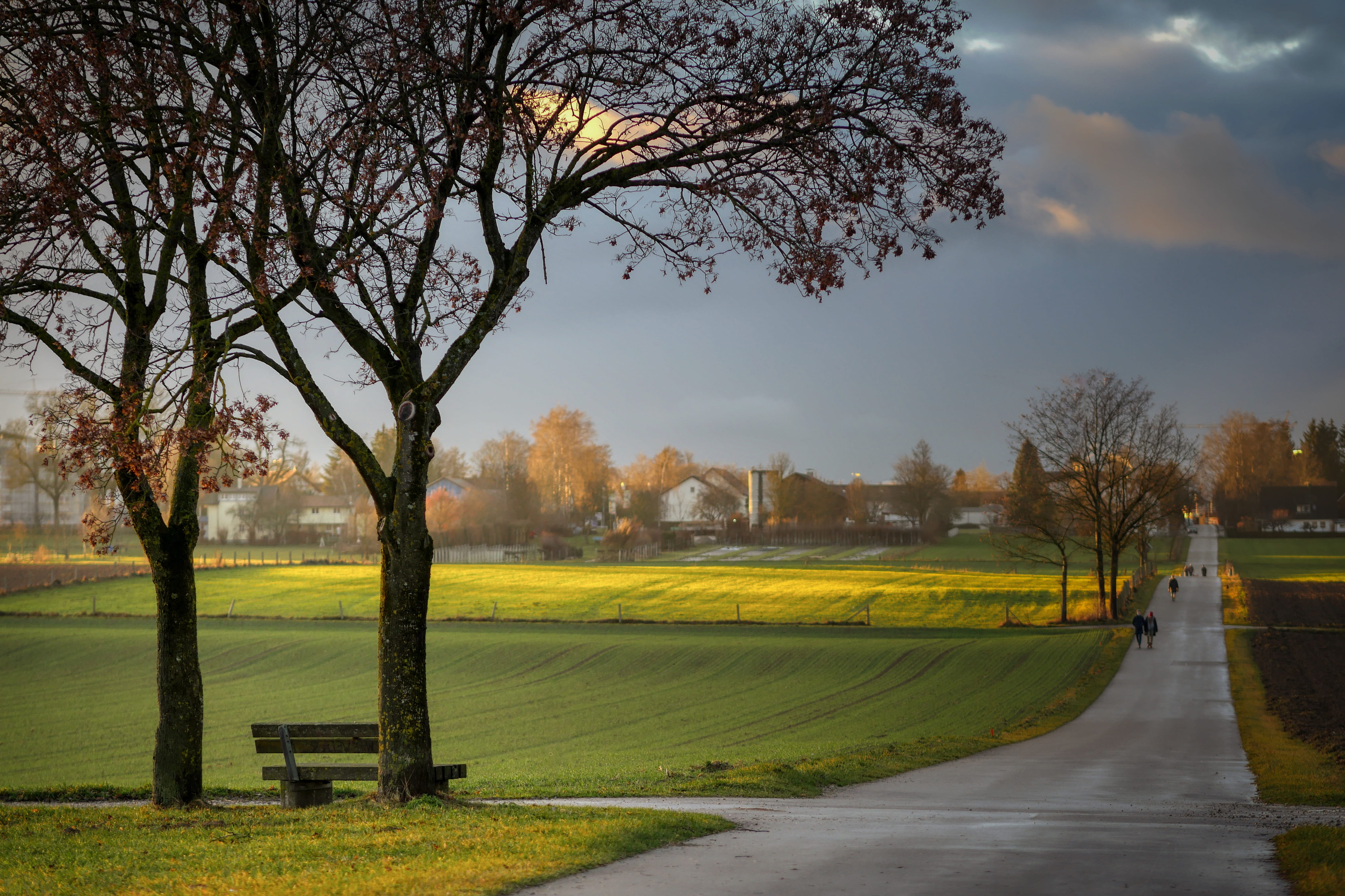rest, clouds, tree, bank, meadow, fields, away, abendstimmung